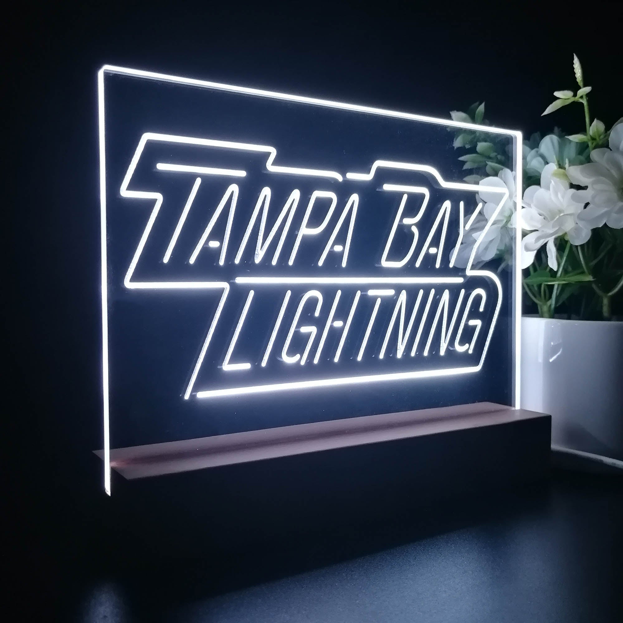 Tampa Bay Lightning Night Light Pub Bar Lamp