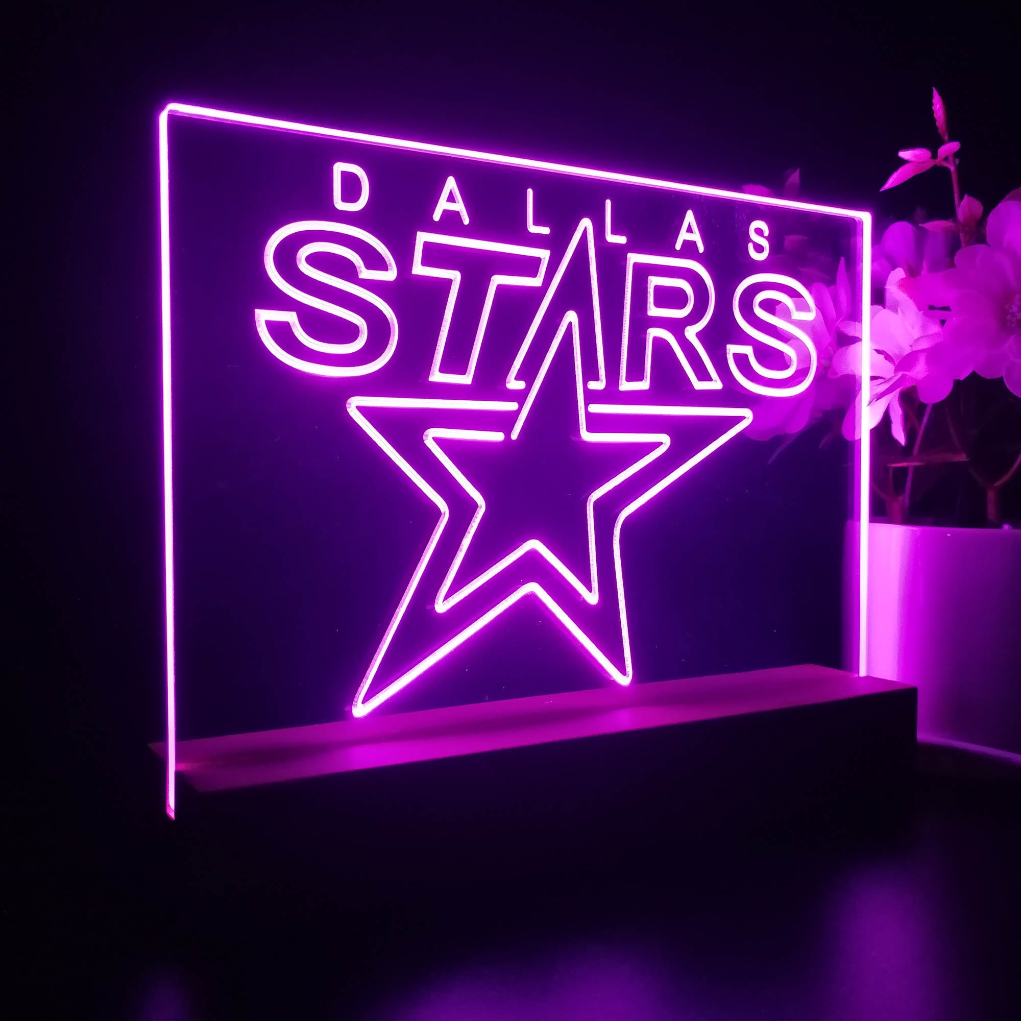 Dallas Stars Night Light Pub Bar Lamp