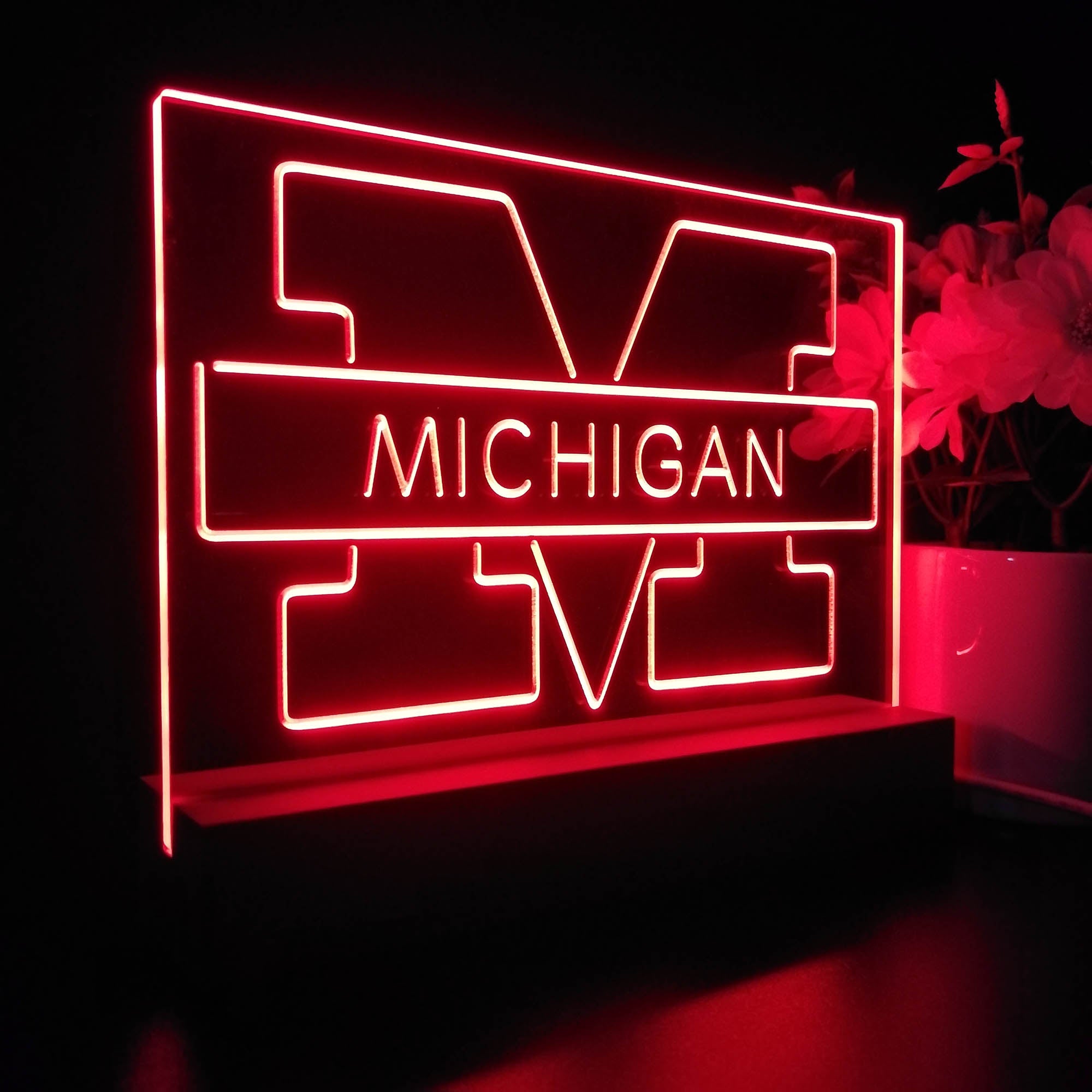 Michigan Wolverines Night Light Pub Bar Lamp