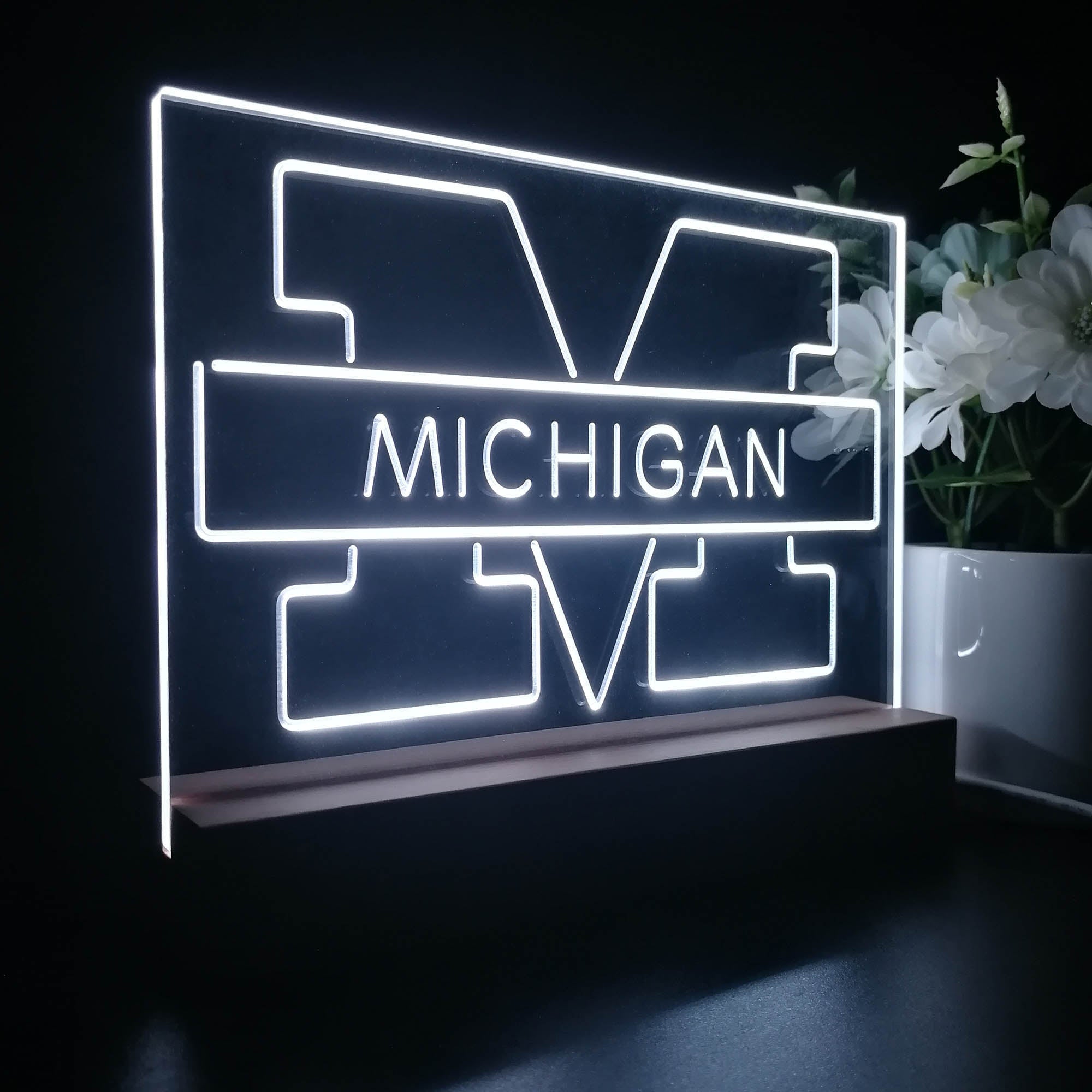 Michigan Wolverines Night Light Pub Bar Lamp