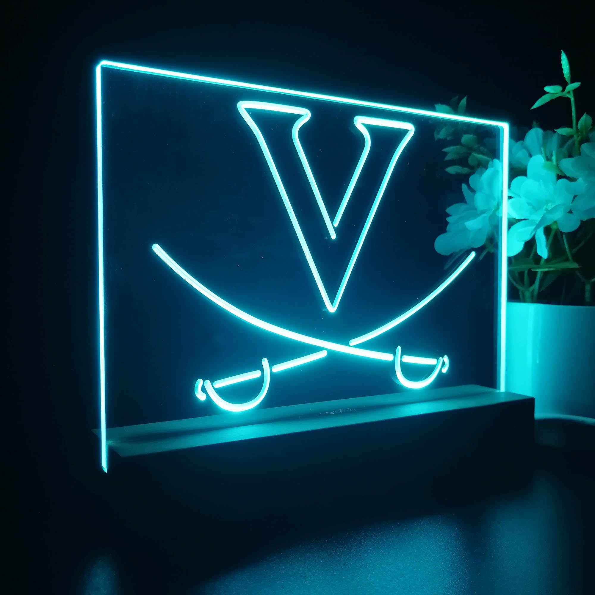Virginia Cavaliers Night Light Pub Bar Lamp