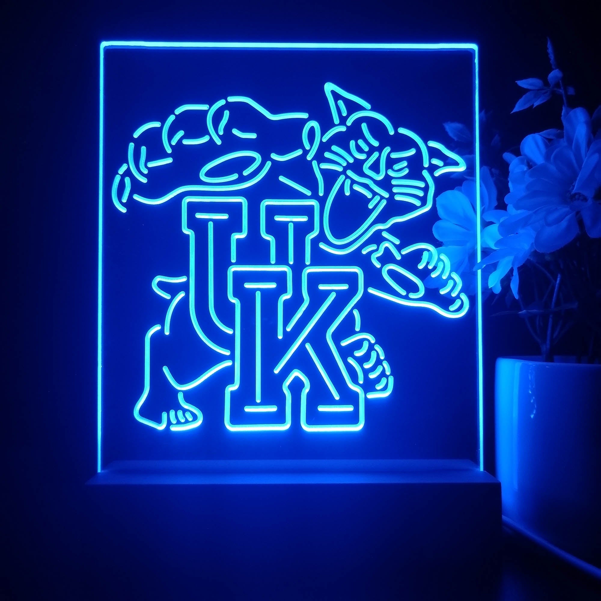 Kentucky Wildcats 3D Illusion Night Light Desk Lamp