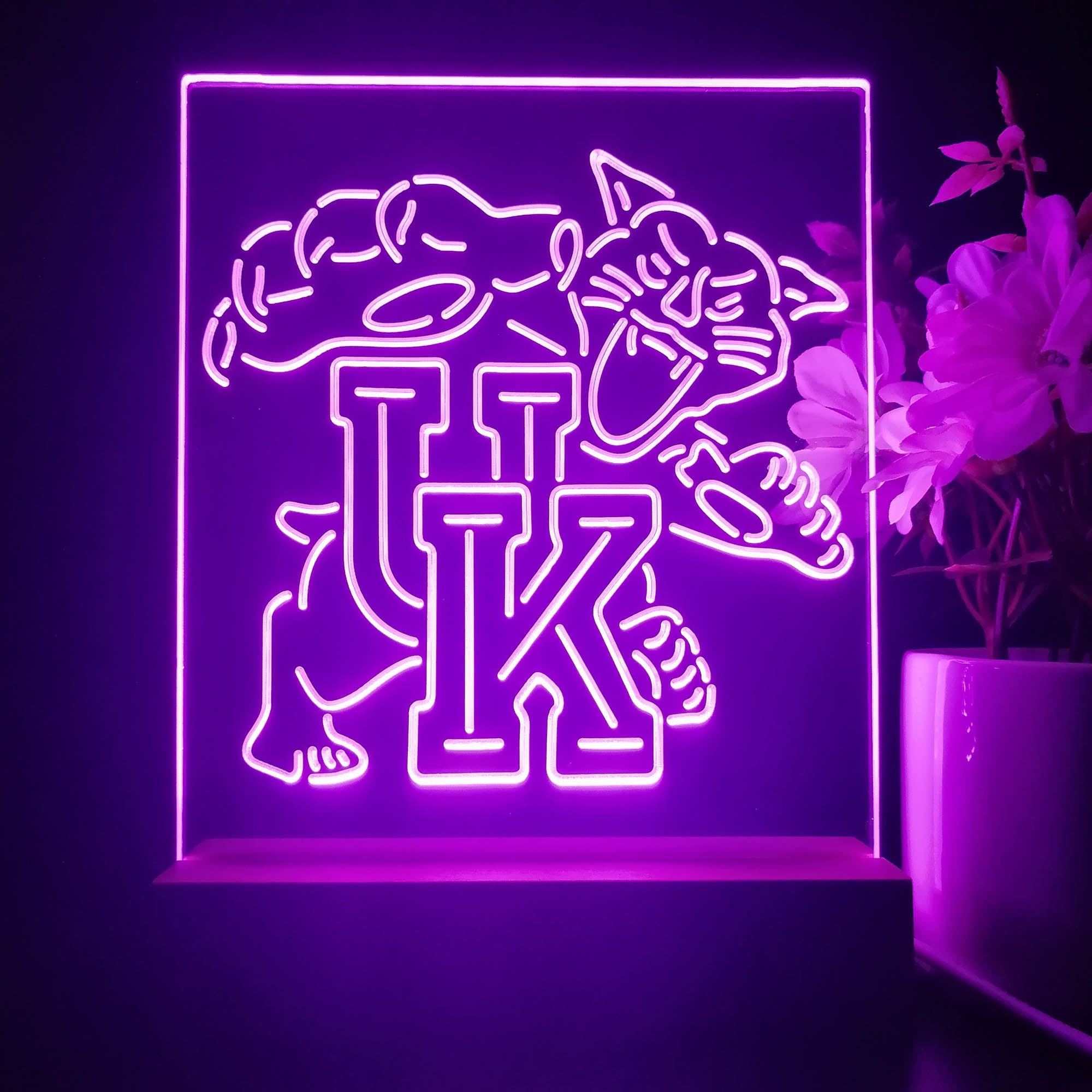 Kentucky Wildcats 3D Illusion Night Light Desk Lamp