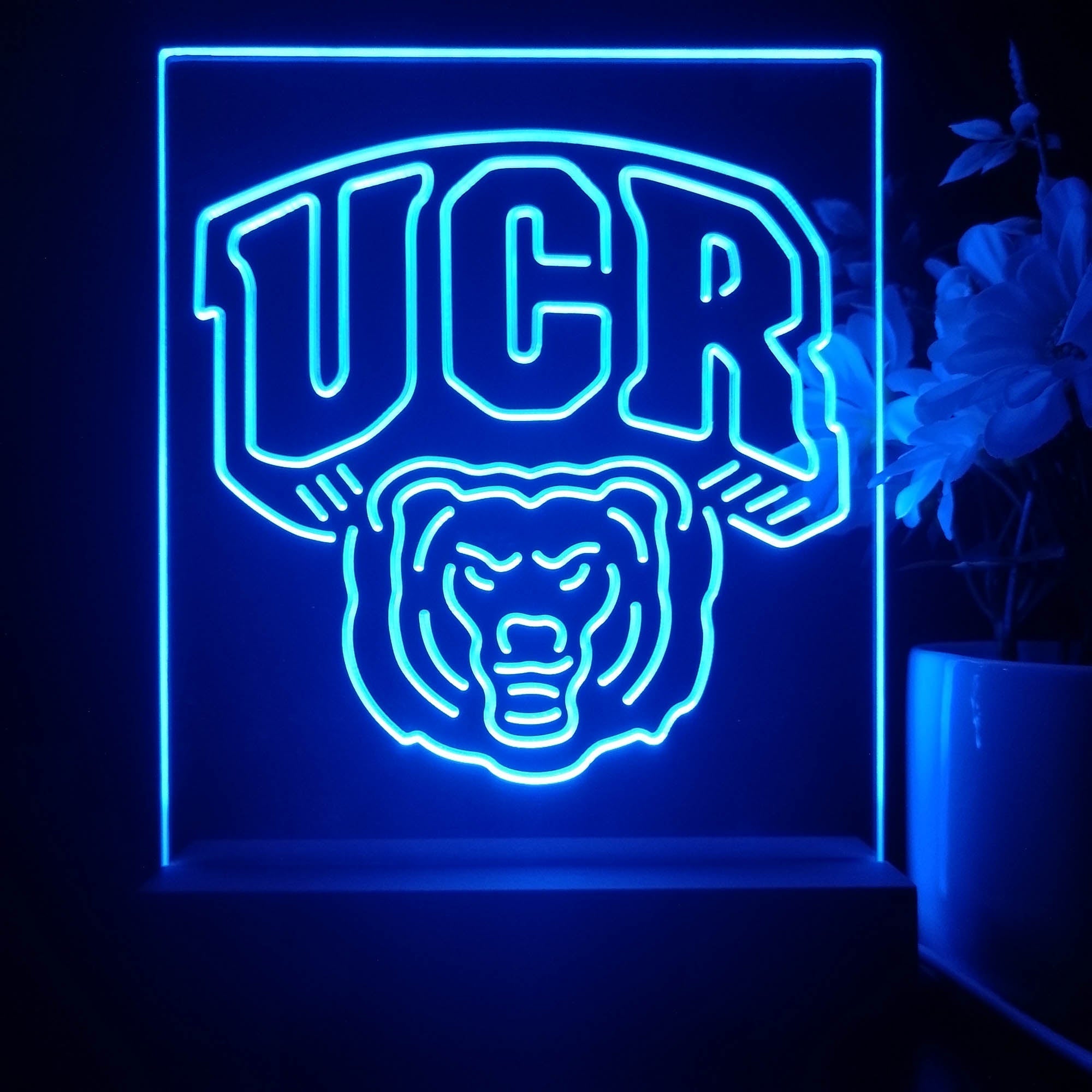 UC Riverside Highlanders 3D Illusion Night Light Desk Lamp