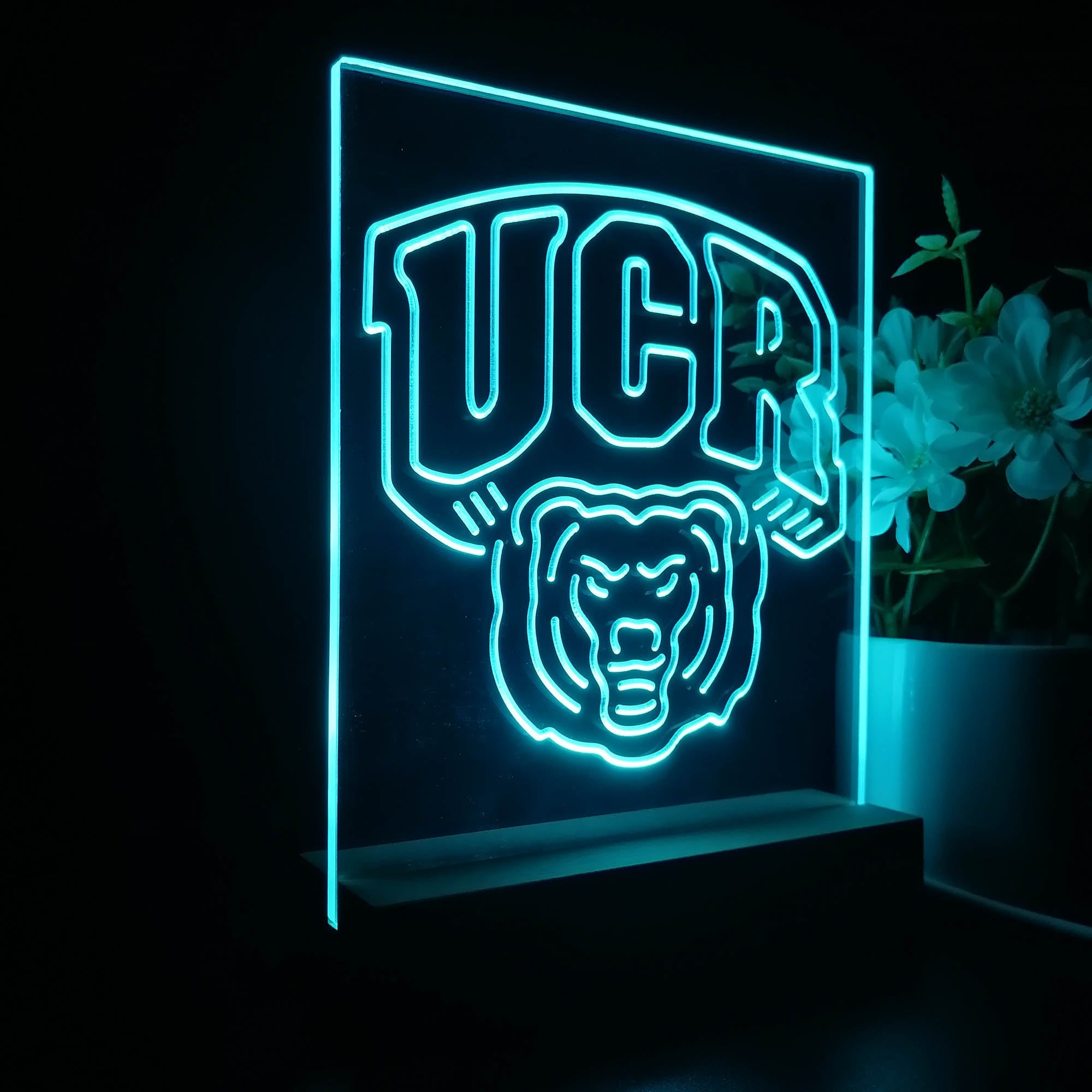 UC Riverside Highlanders 3D Illusion Night Light Desk Lamp