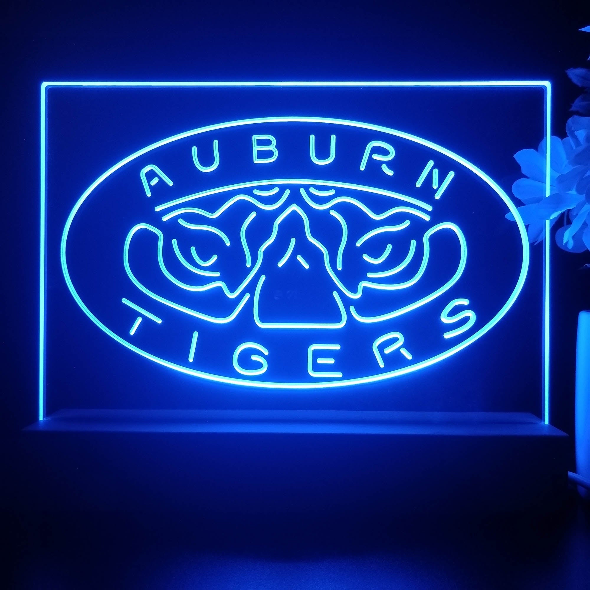 Auburn Tigers Night Light Pub Bar Lamp