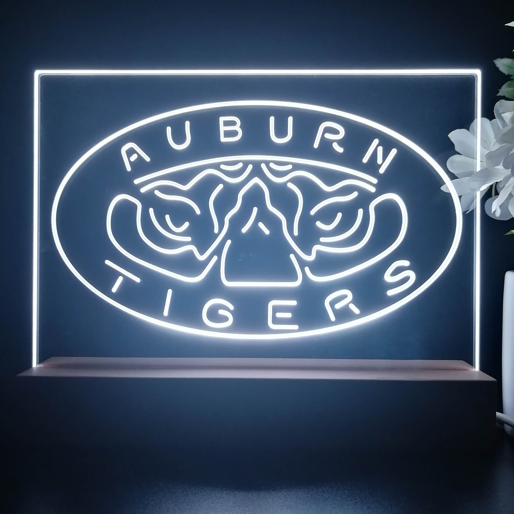 Auburn Tigers Night Light Pub Bar Lamp