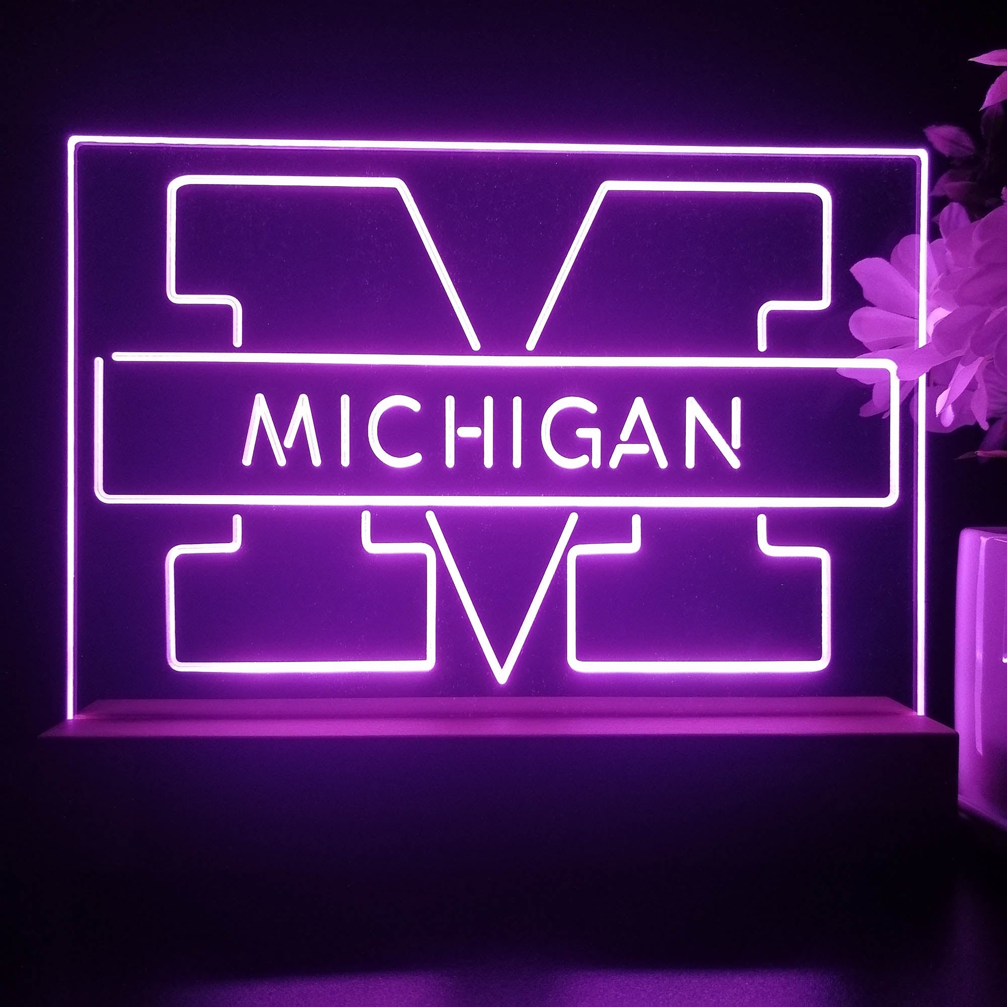 Michigan Wolverines Night Light Pub Bar Lamp