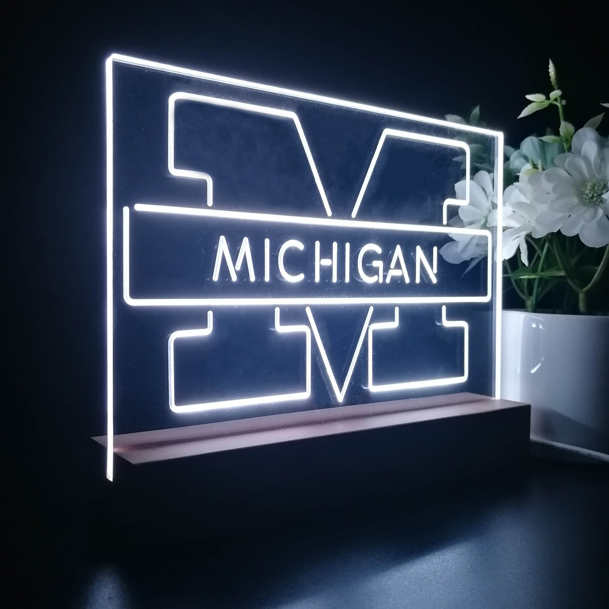 Michigan Wolverines Night Light Pub Bar Lamp