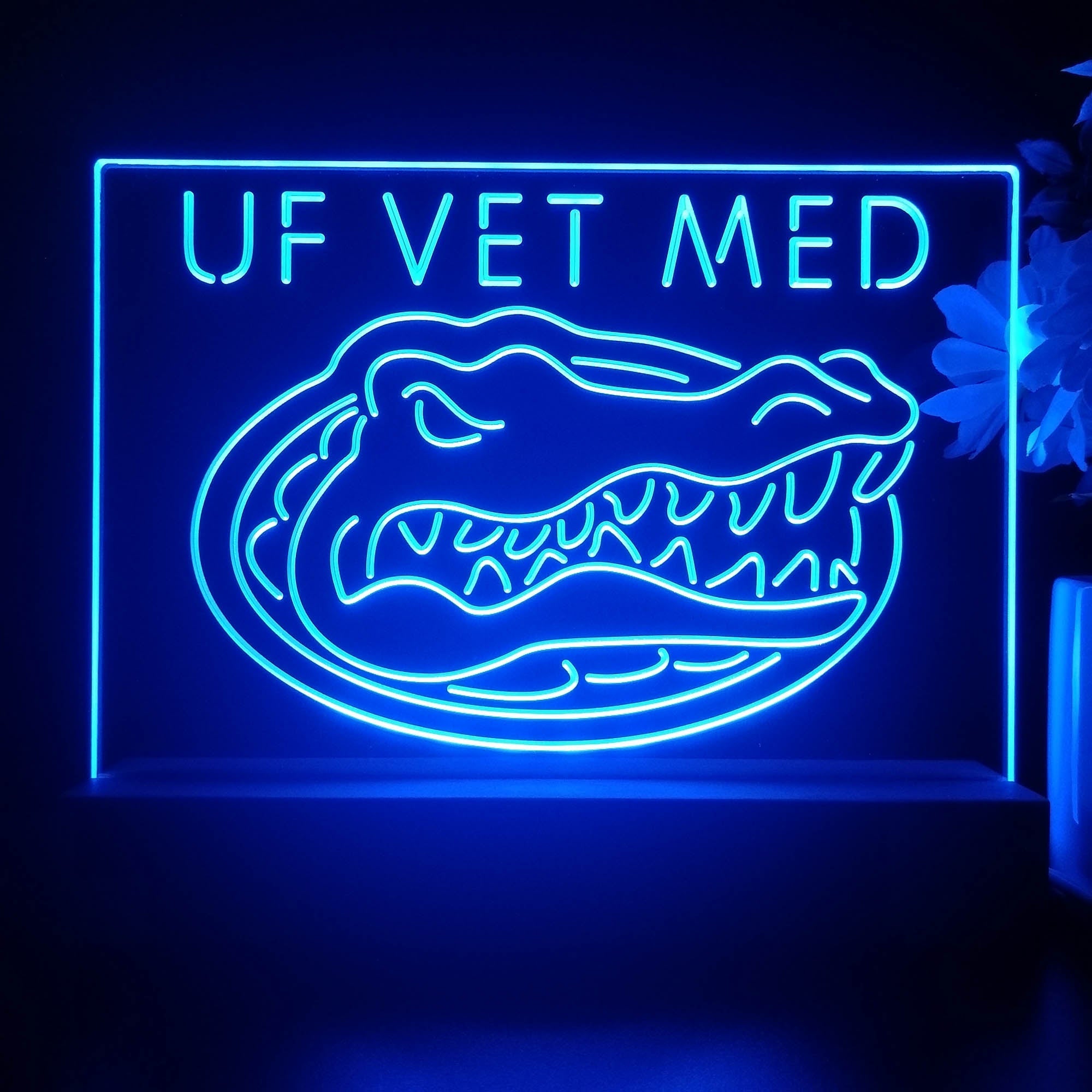 Florida Gators Night Light Pub Bar Lamp