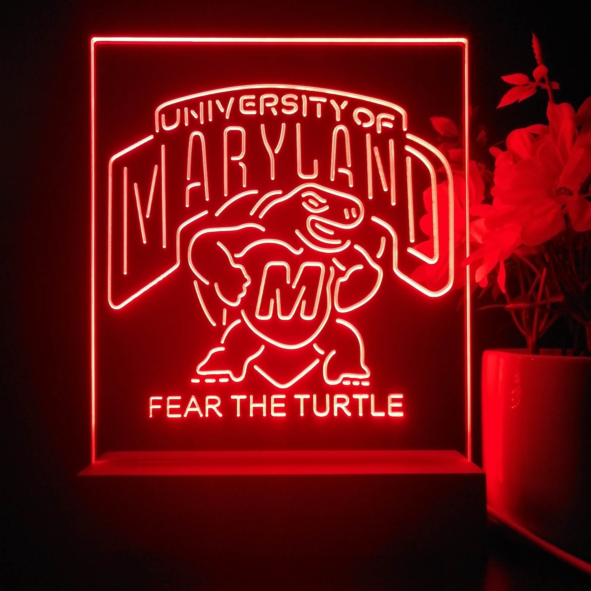 Maryland Turtle Fear The Turtle 3D Illusion Night Light Desk Lamp