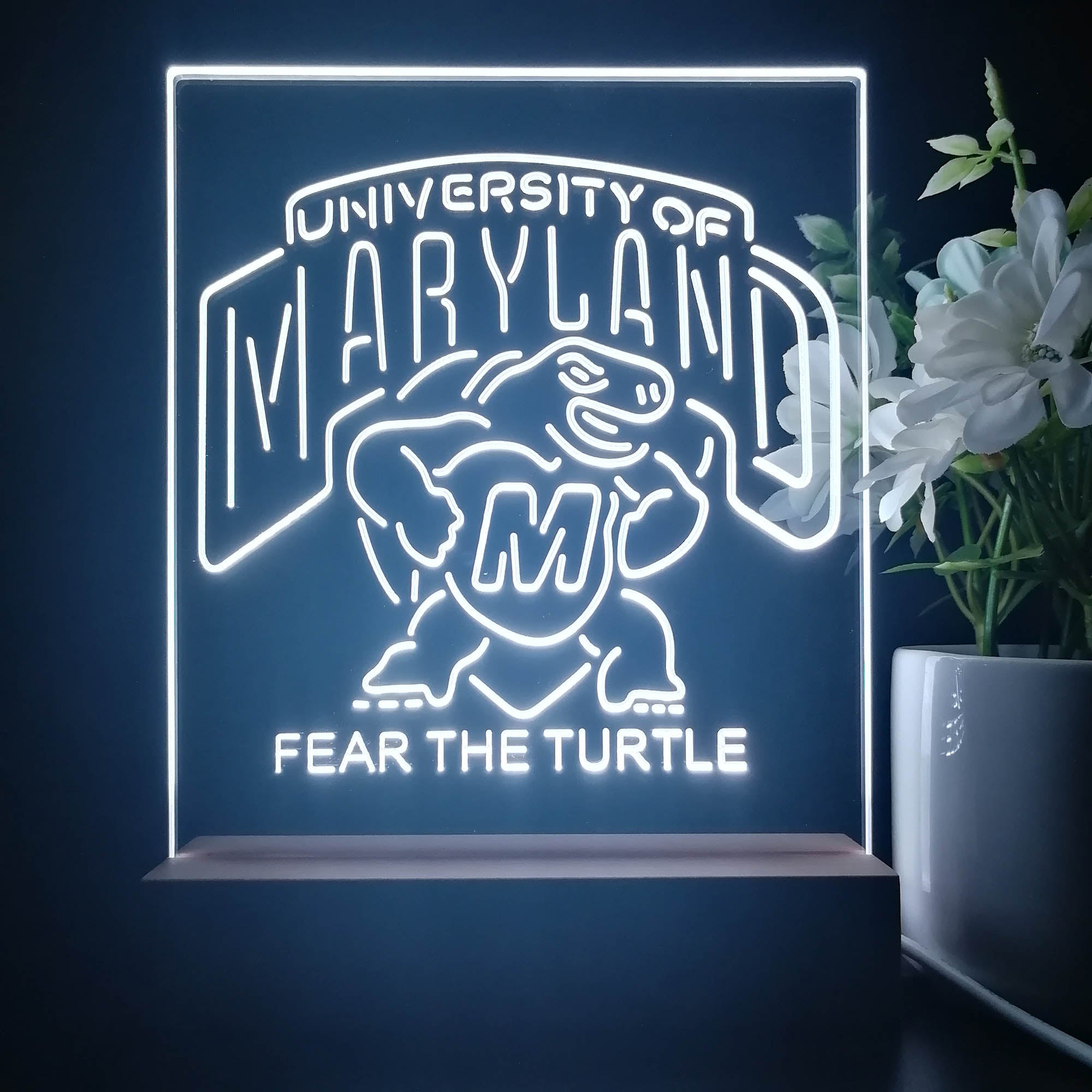Maryland Turtle Fear The Turtle 3D Illusion Night Light Desk Lamp
