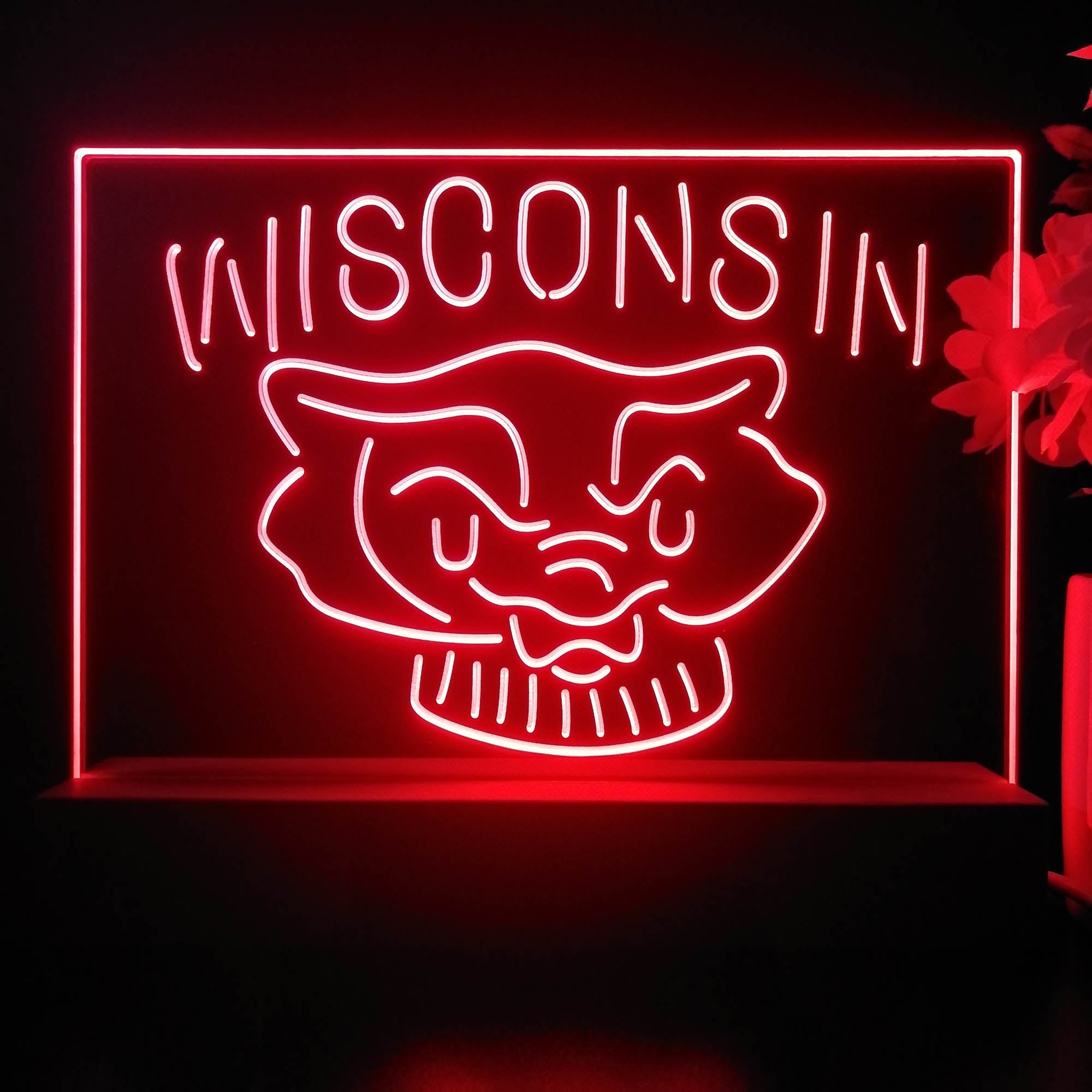 Wisconsin Badgers Night Light Pub Bar Lamp