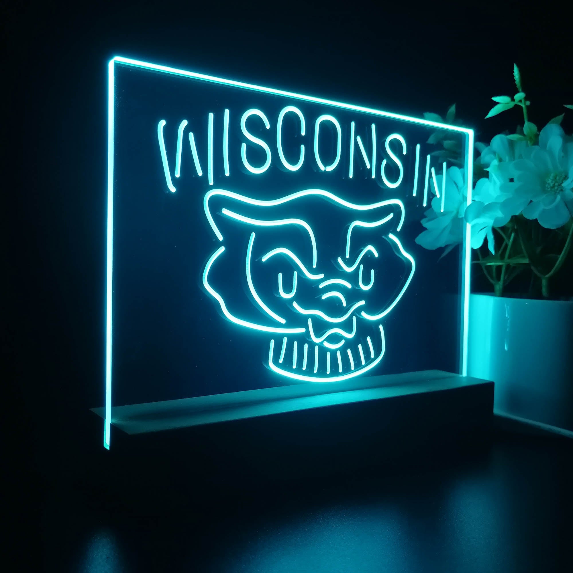 Wisconsin Badgers Night Light Pub Bar Lamp