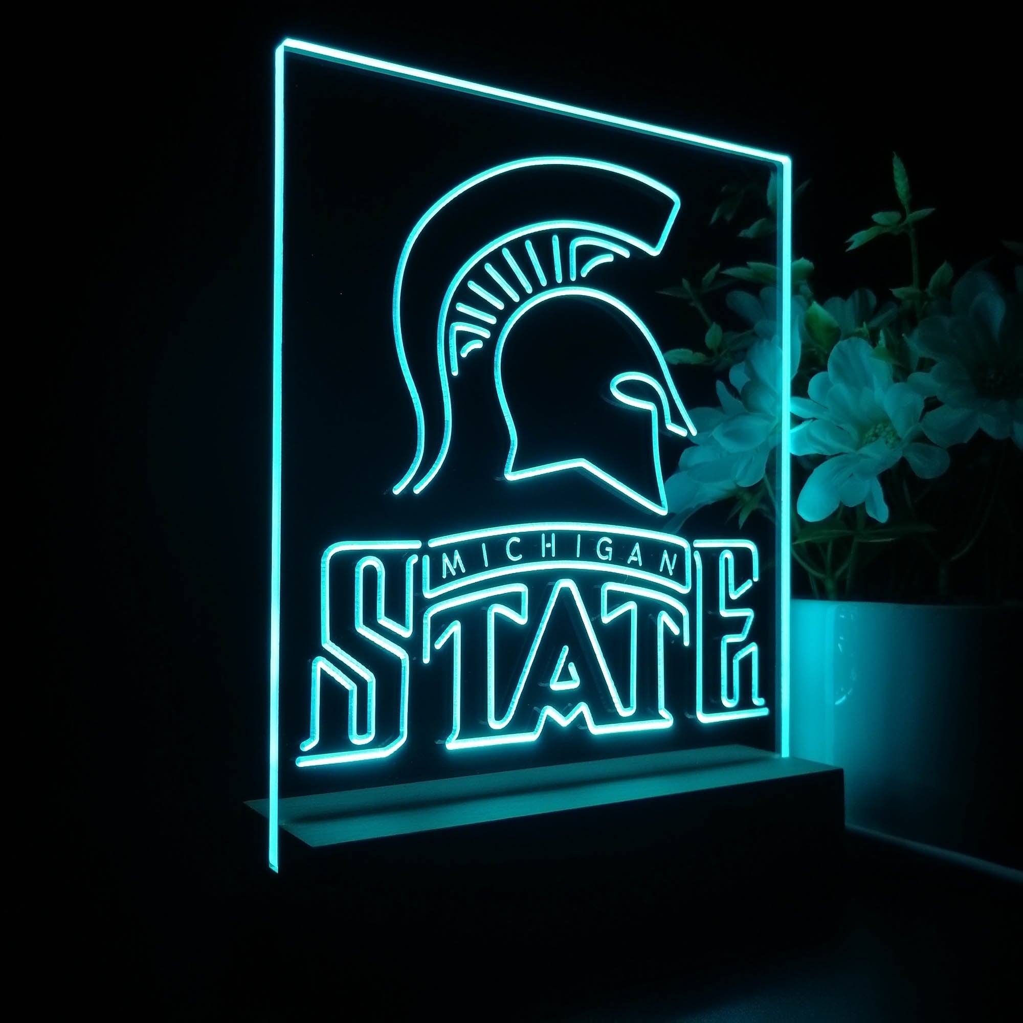 Michigan State Spartans Neon Sign Pub Bar Lamp
