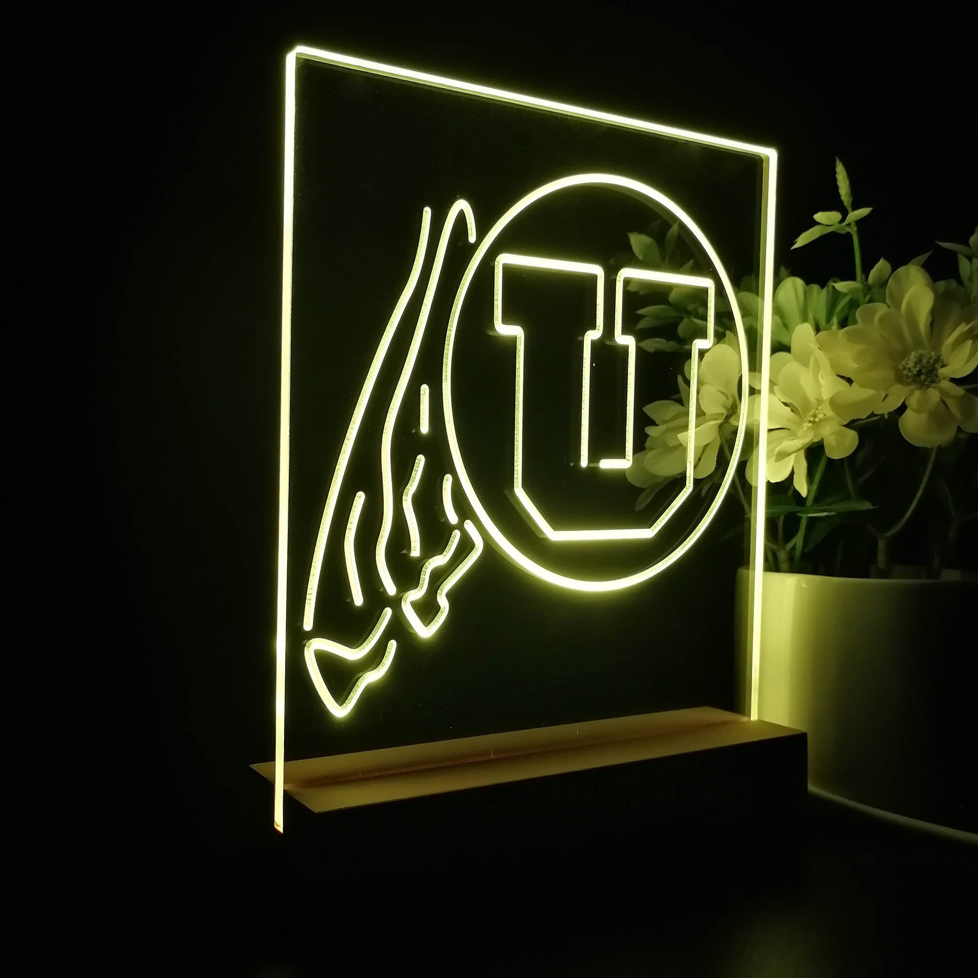 Utah Utes 3D Illusion Night Light Desk Lamp