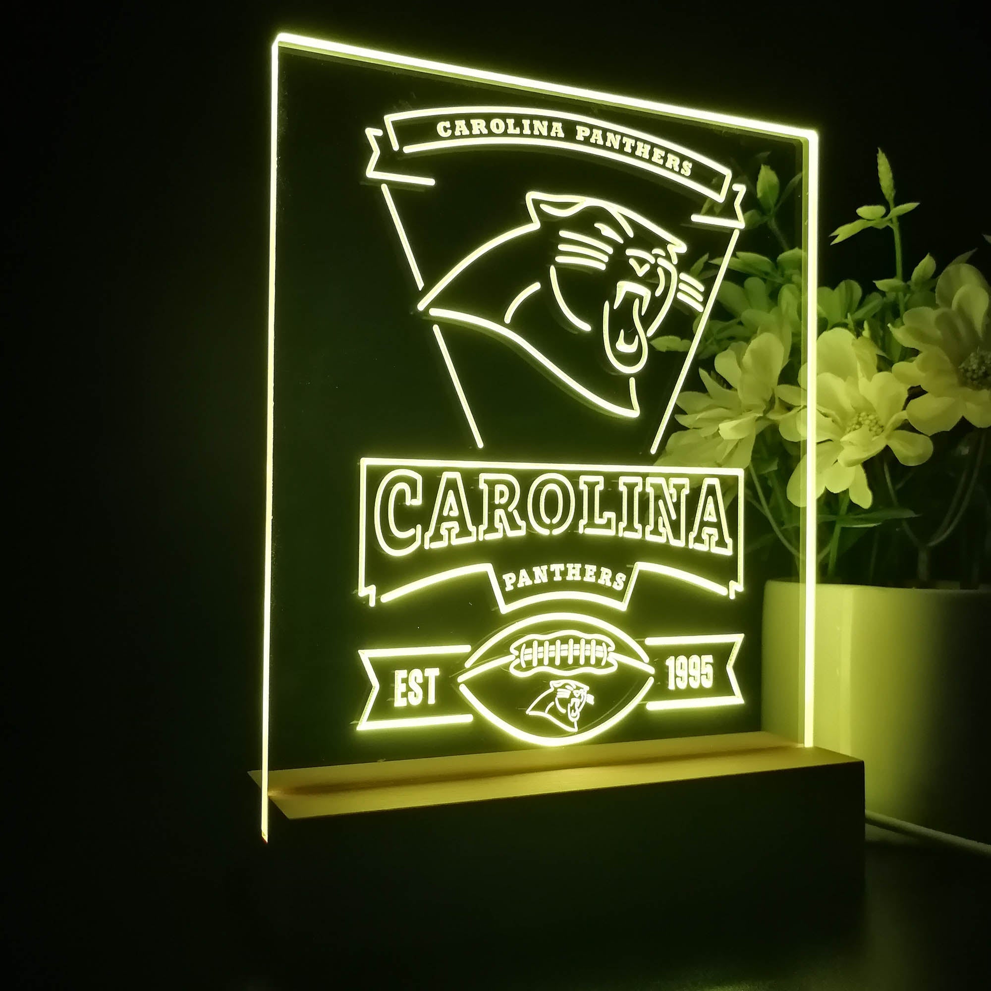 Carolina Panthers Souvenir Neon Sign Pub Bar Lamp