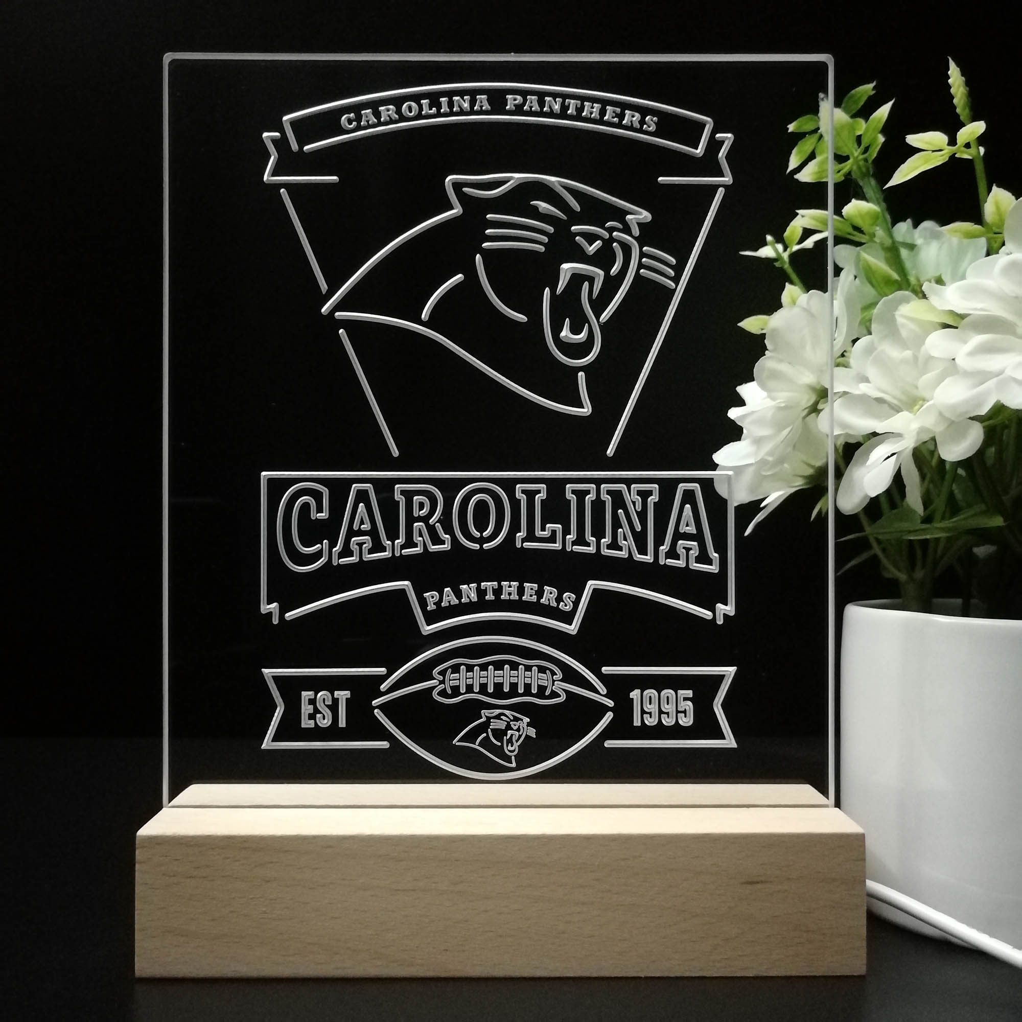 Carolina Panthers Souvenir Neon Sign Pub Bar Lamp