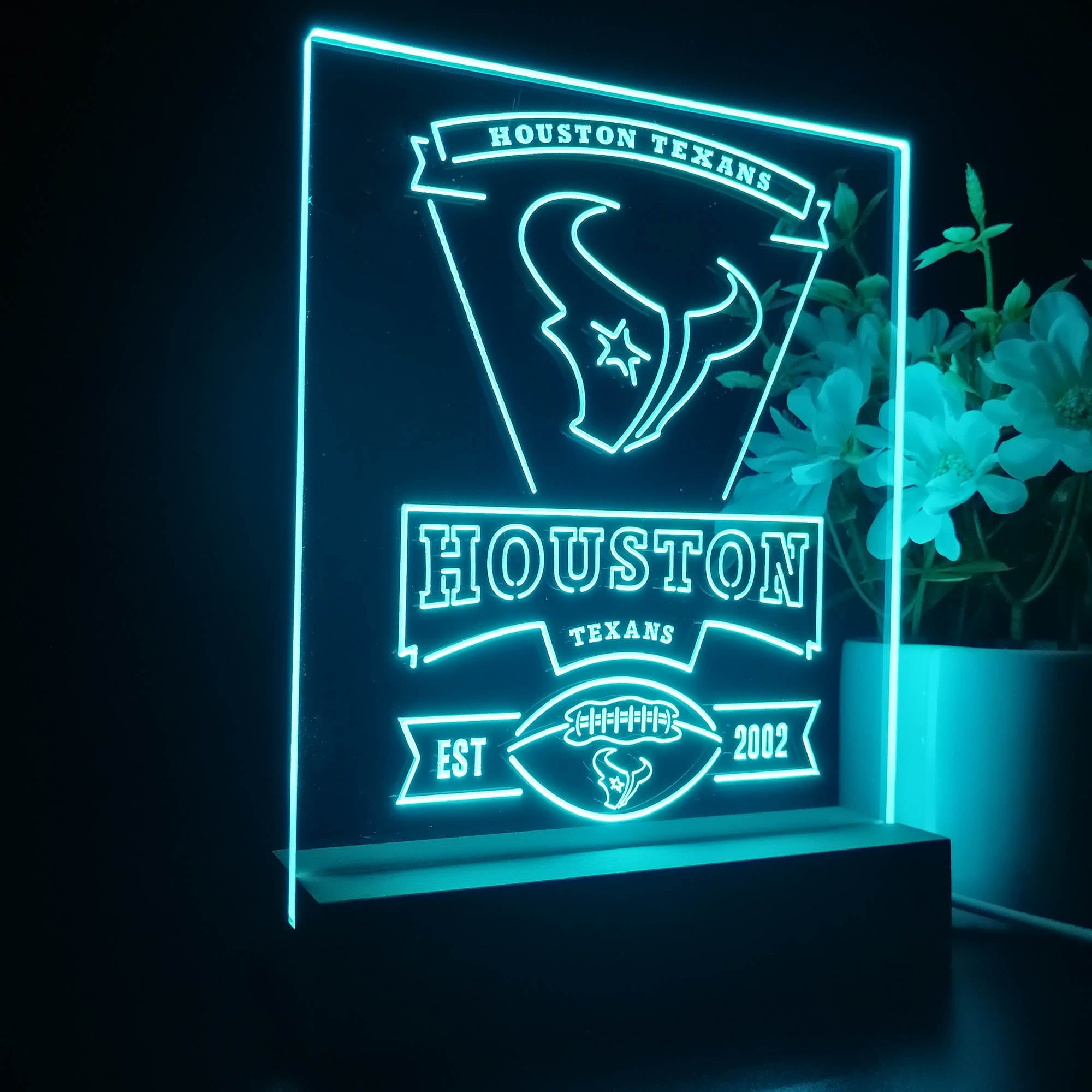 Houston Texans Souvenir Neon Sign Pub Bar Lamp