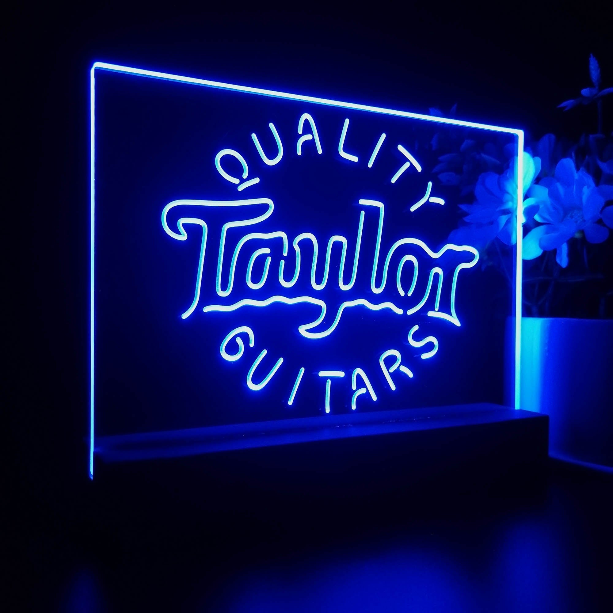 Taylor Guitar Music 3D Illusion Night Light Desk Lamp