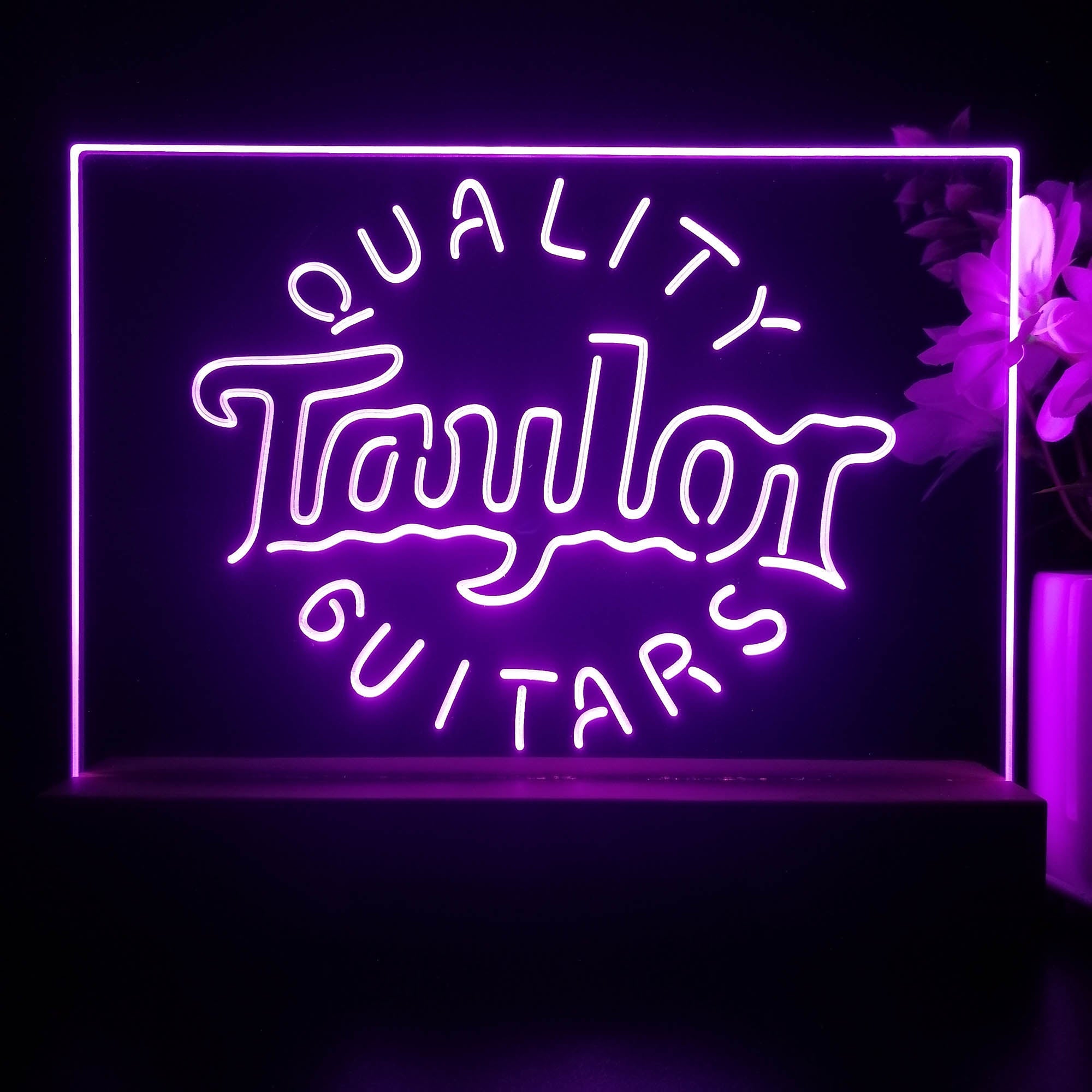 Taylor Guitar Music 3D Illusion Night Light Desk Lamp