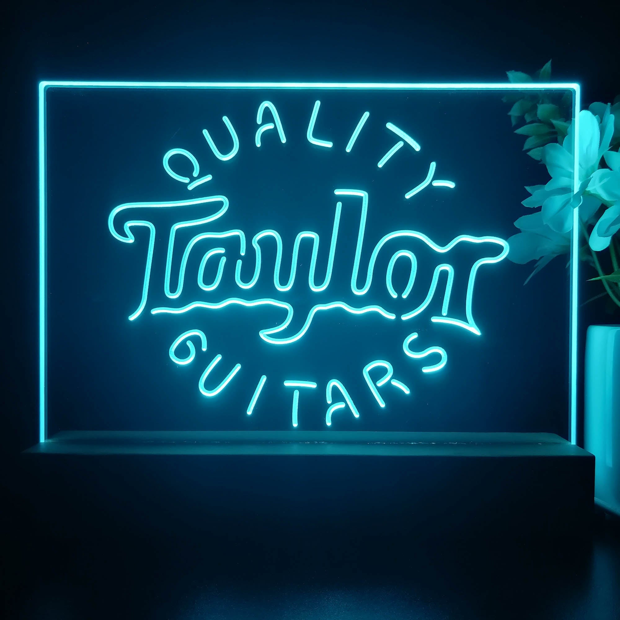 Taylor Guitar Music 3D Illusion Night Light Desk Lamp
