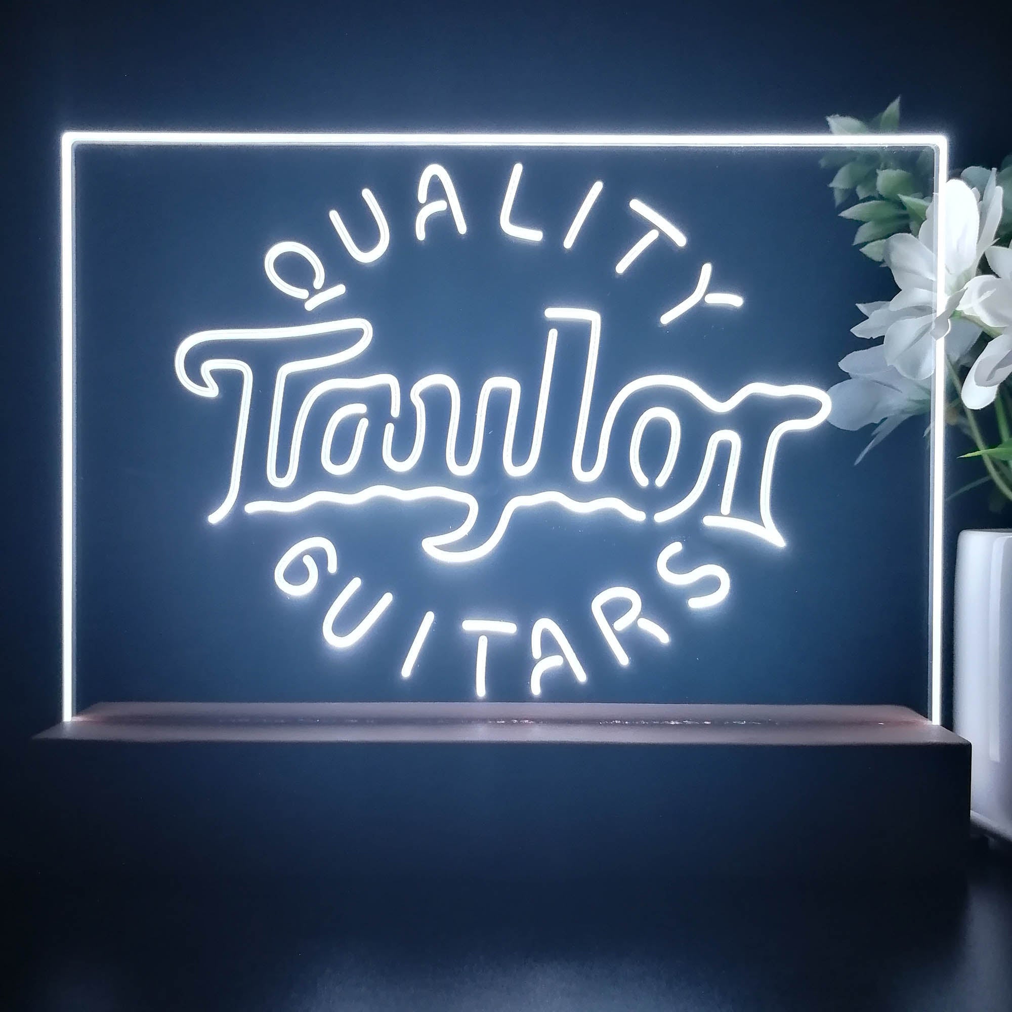 Taylor Guitar Music 3D Illusion Night Light Desk Lamp
