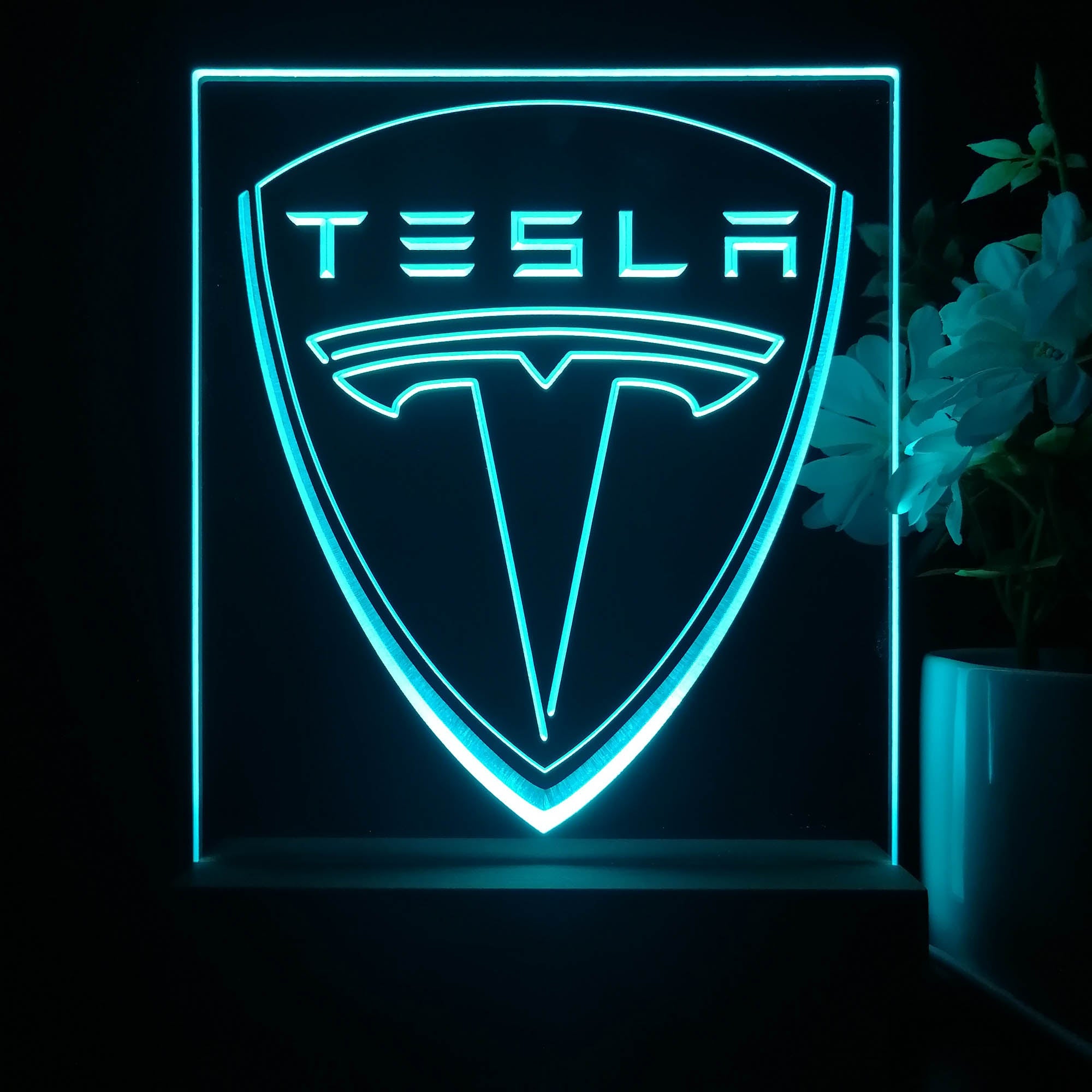 Tesla Logo 3D Illusion Night Light Desk Lamp