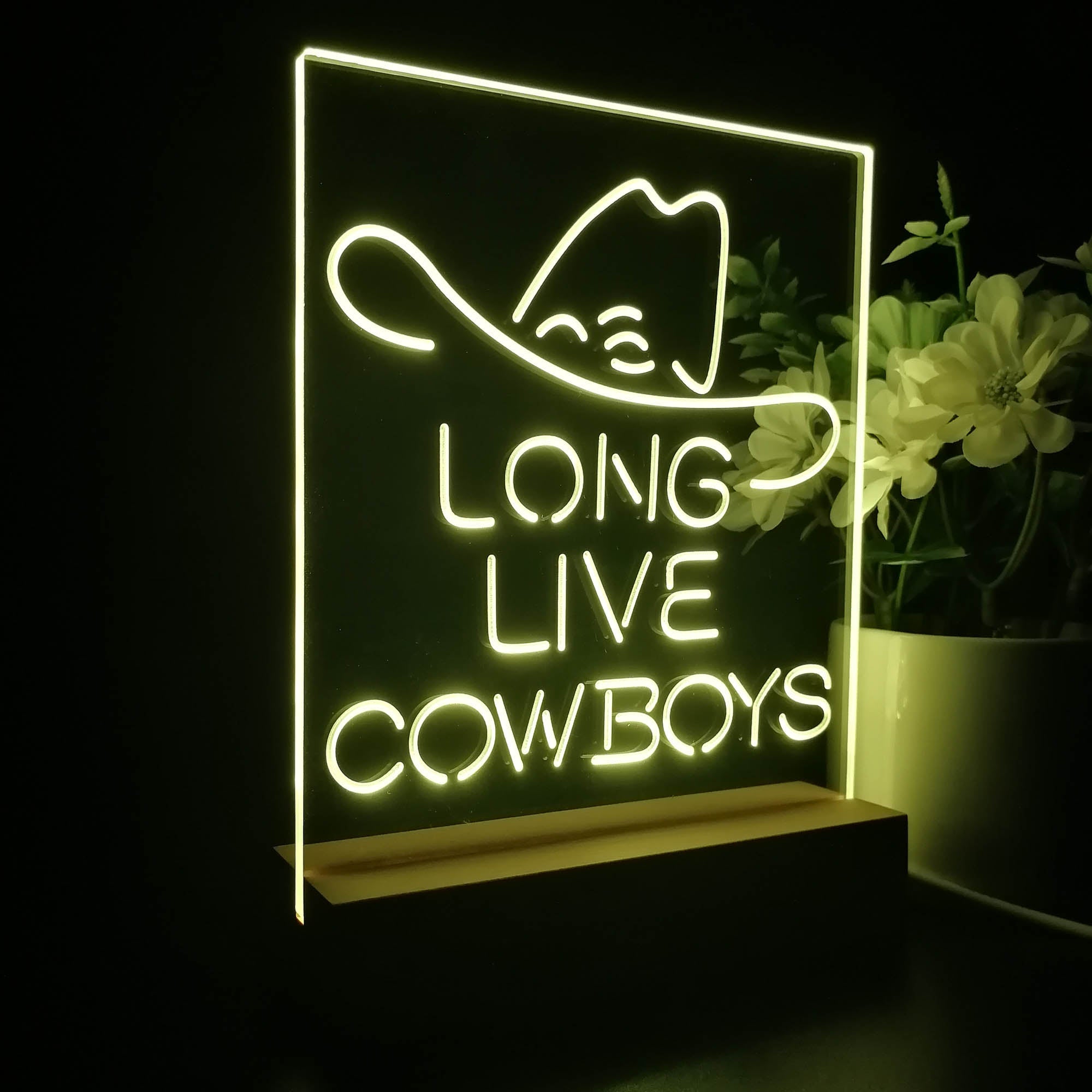 Long Live Cowboys Wranglers 3D Illusion Night Light Desk Lamp