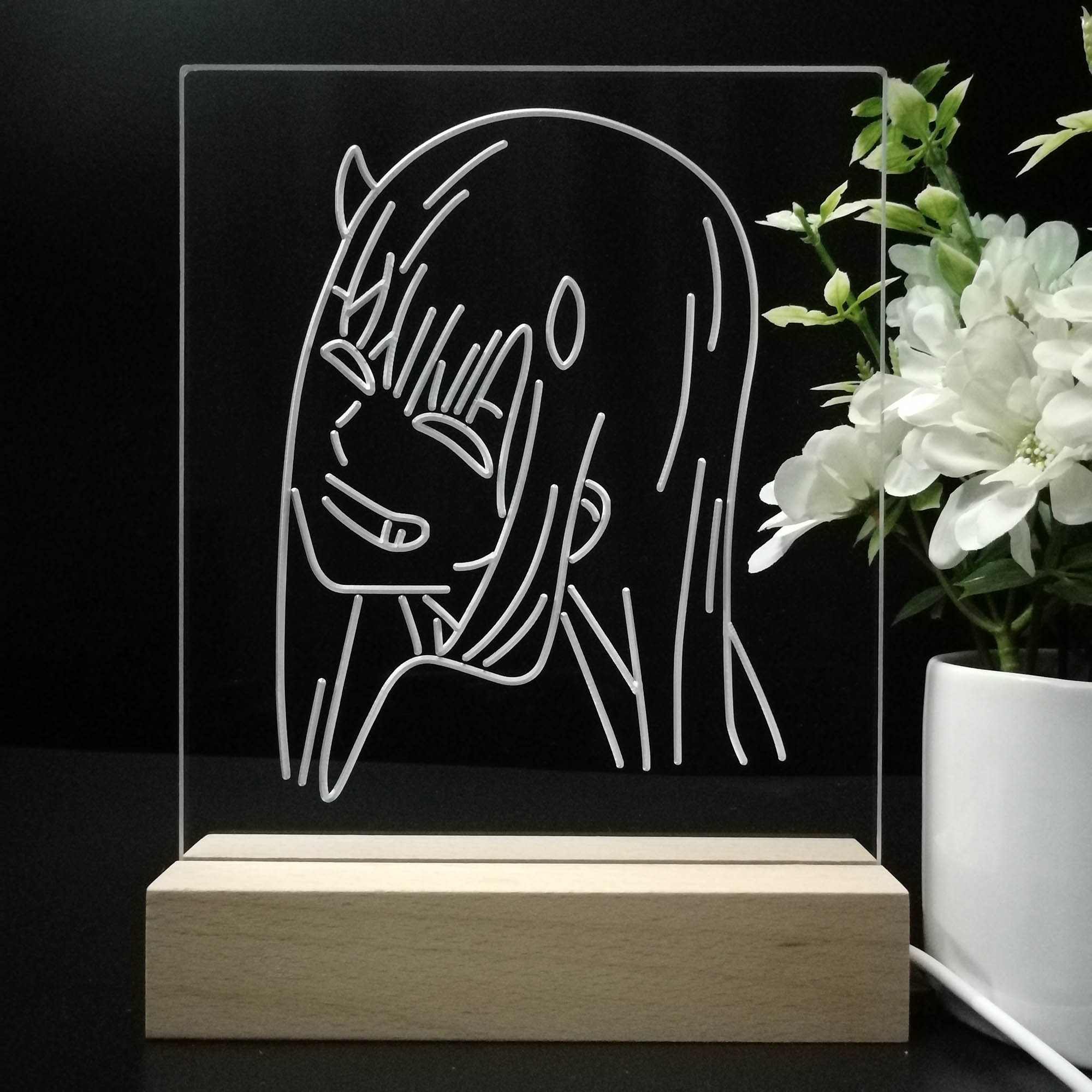 Zero Two Game Room LED Sign Lamp Display