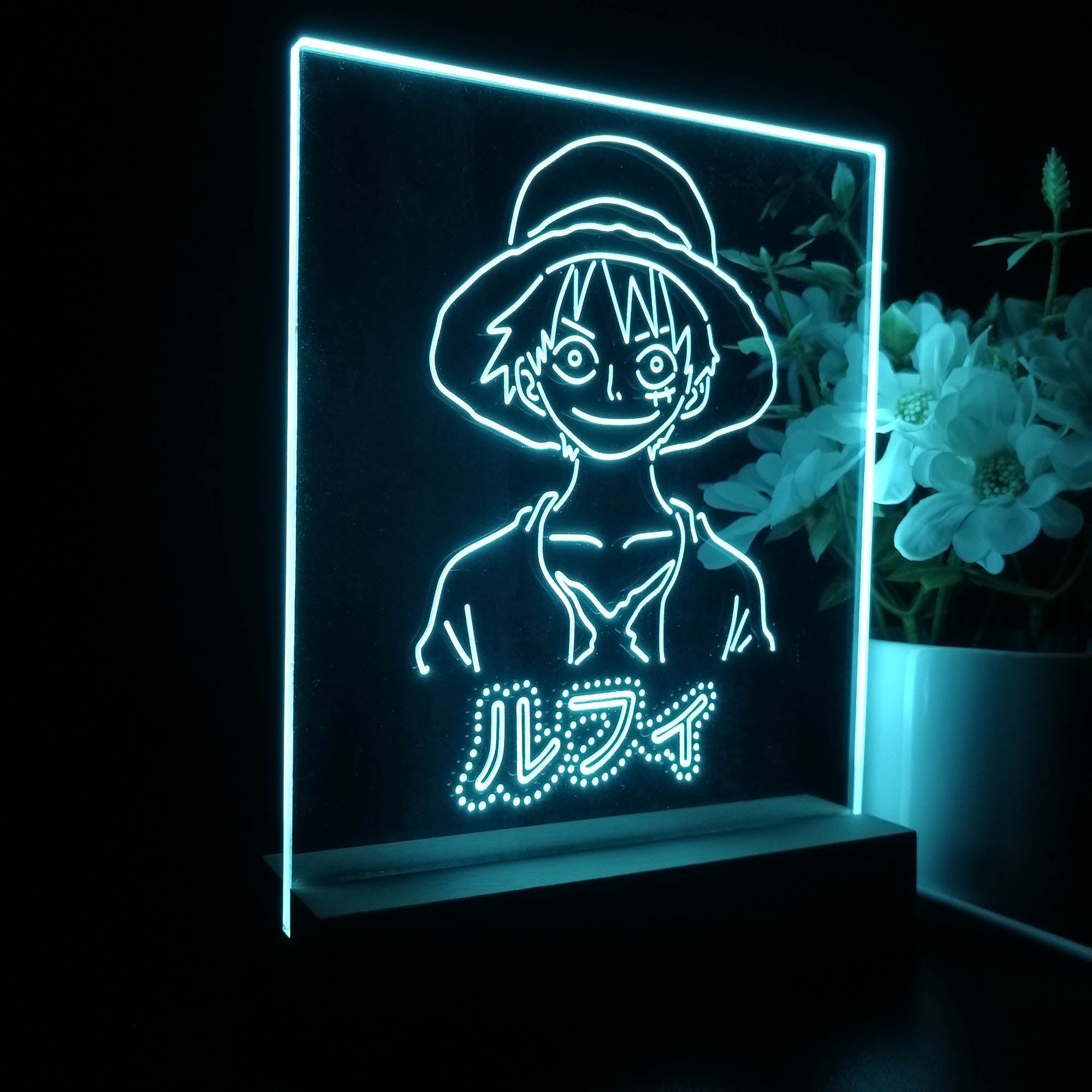 One Piece Game Room LED Sign Lamp Display