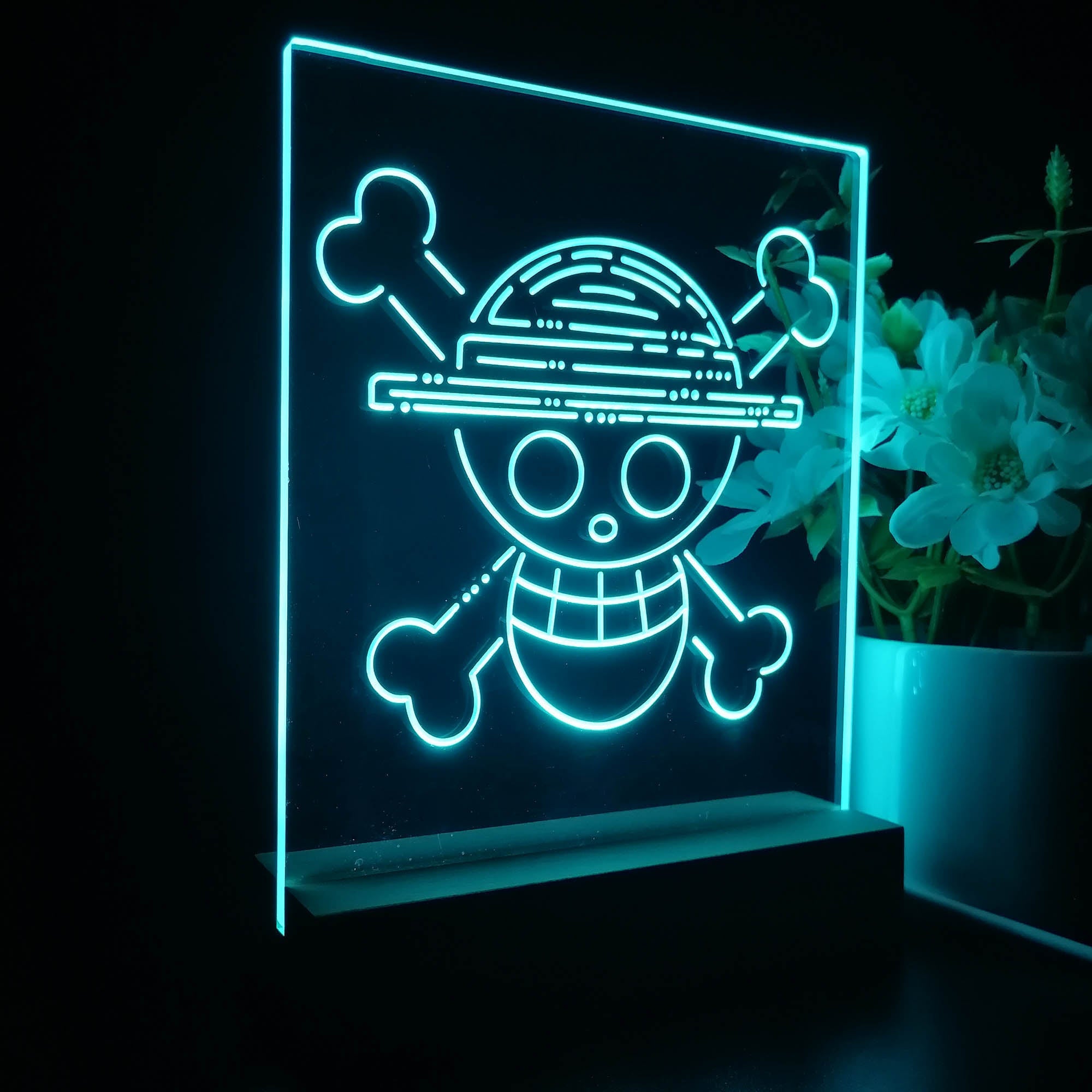 One Piece Game Room LED Sign Lamp Display