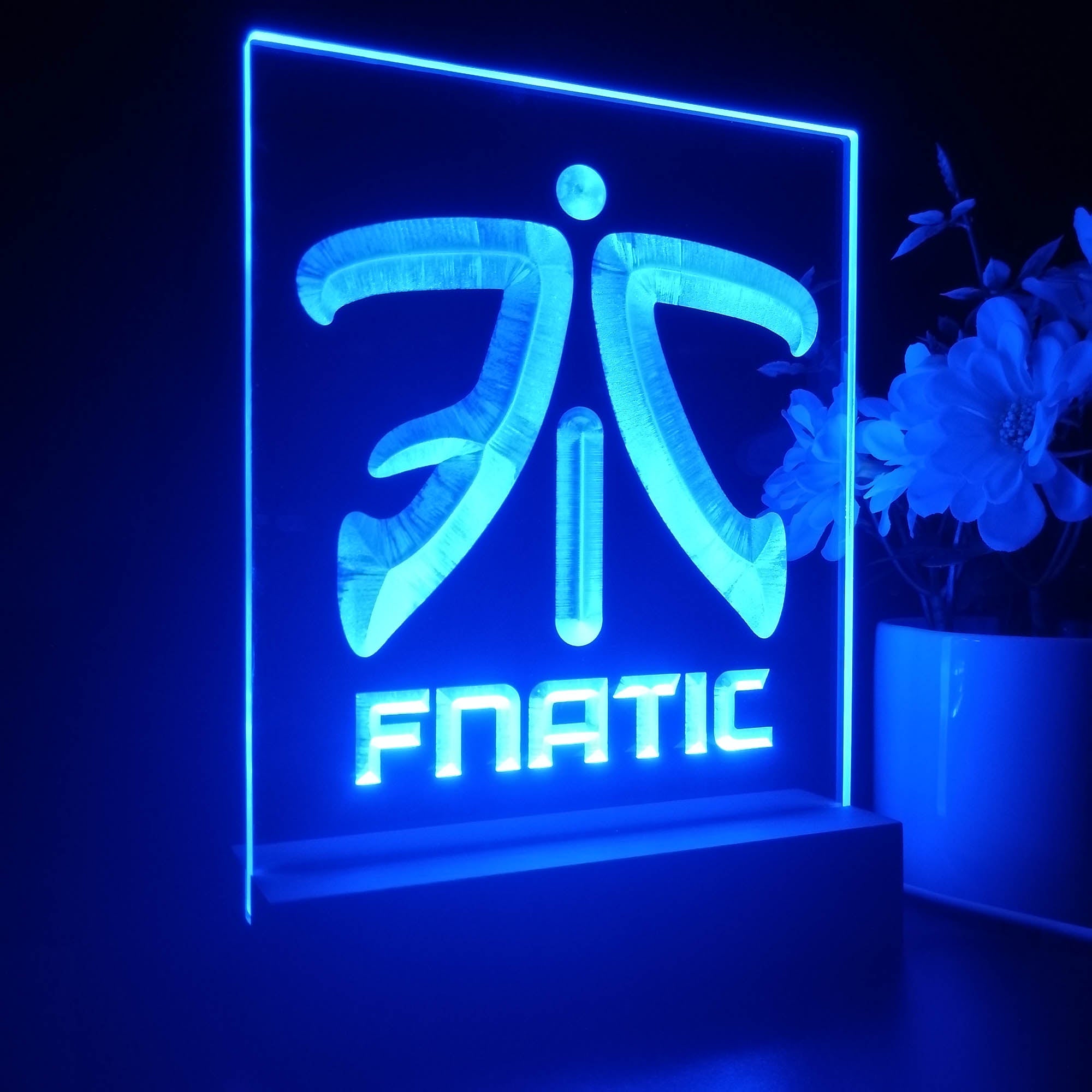 Fnatic Team 3D Illusion Night Light Desk Lamp