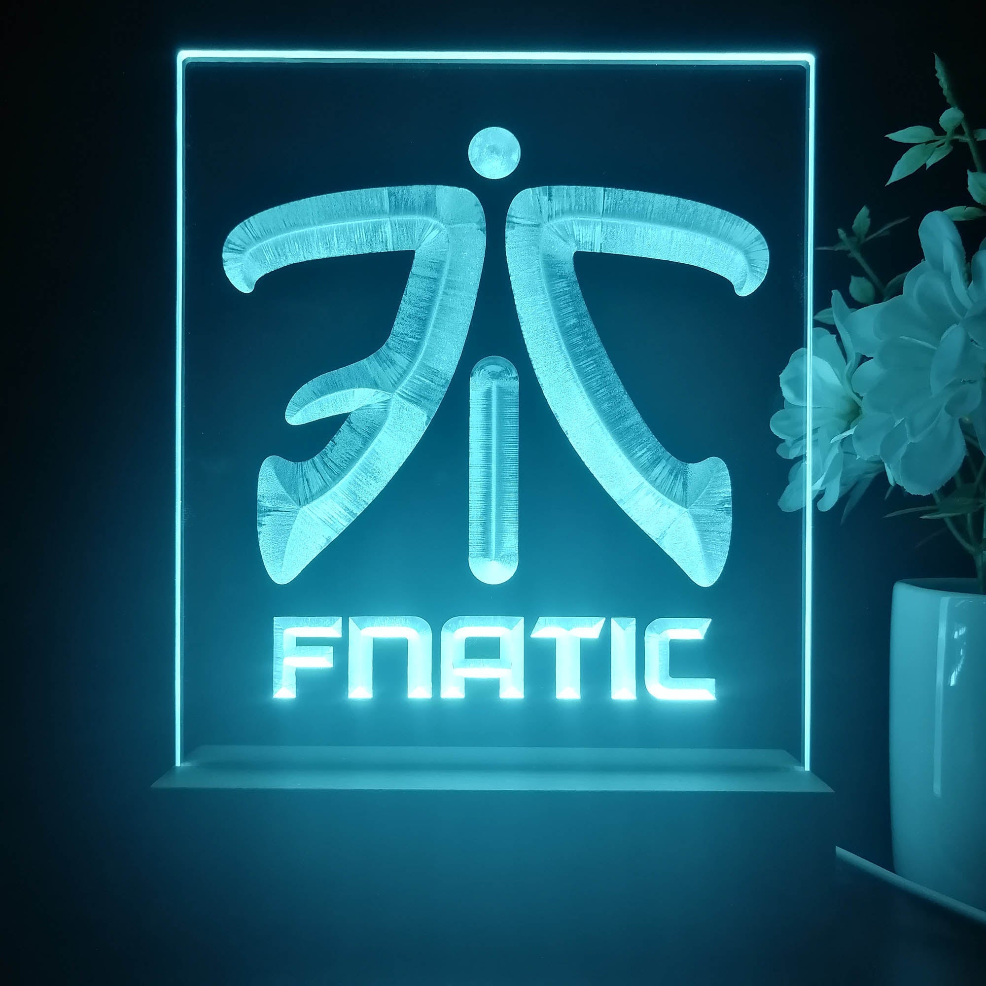 Fnatic Team Neon Sign Table Lamp Display | PRO LED SIGN