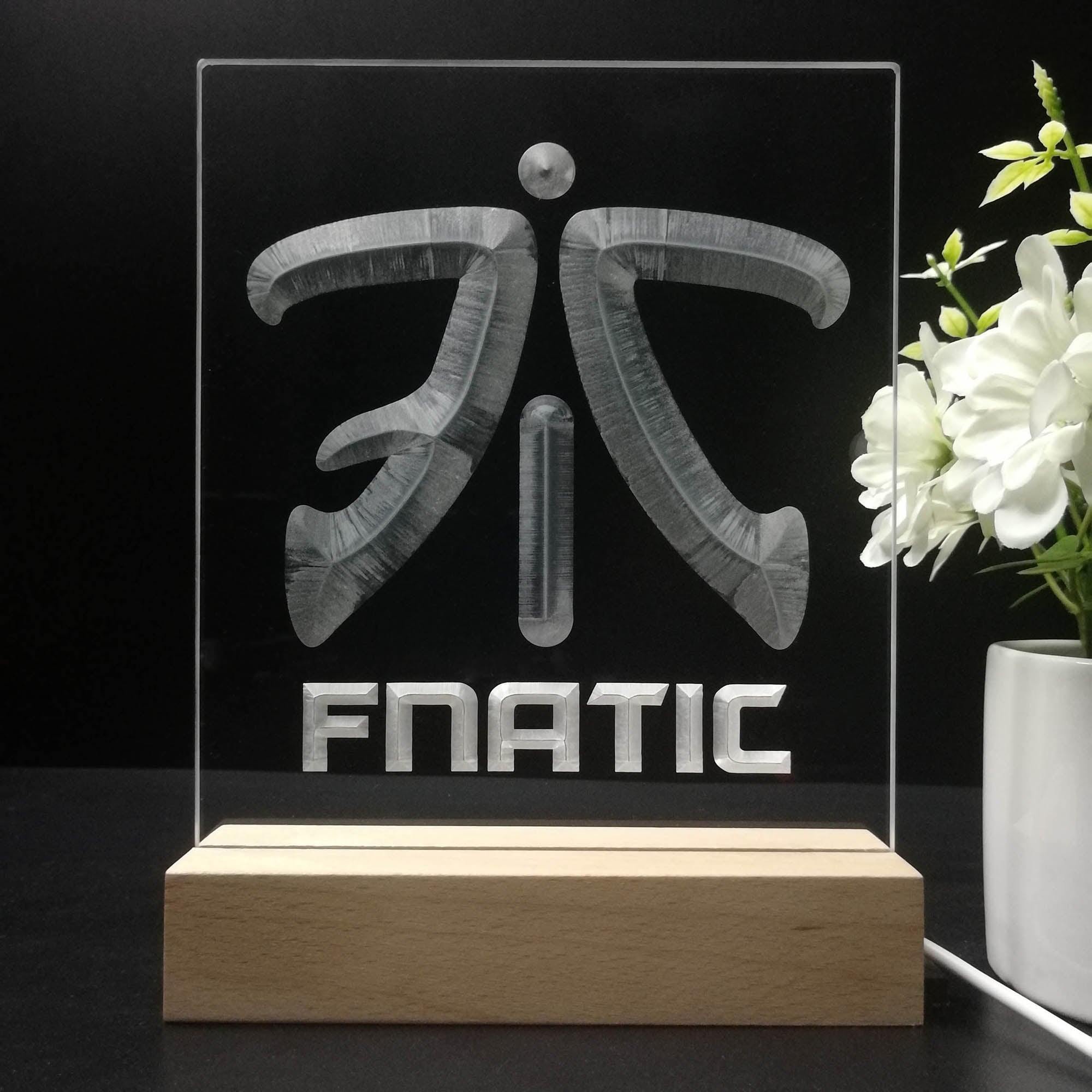 Fnatic Team Neon Sign Table Lamp Display | PRO LED SIGN