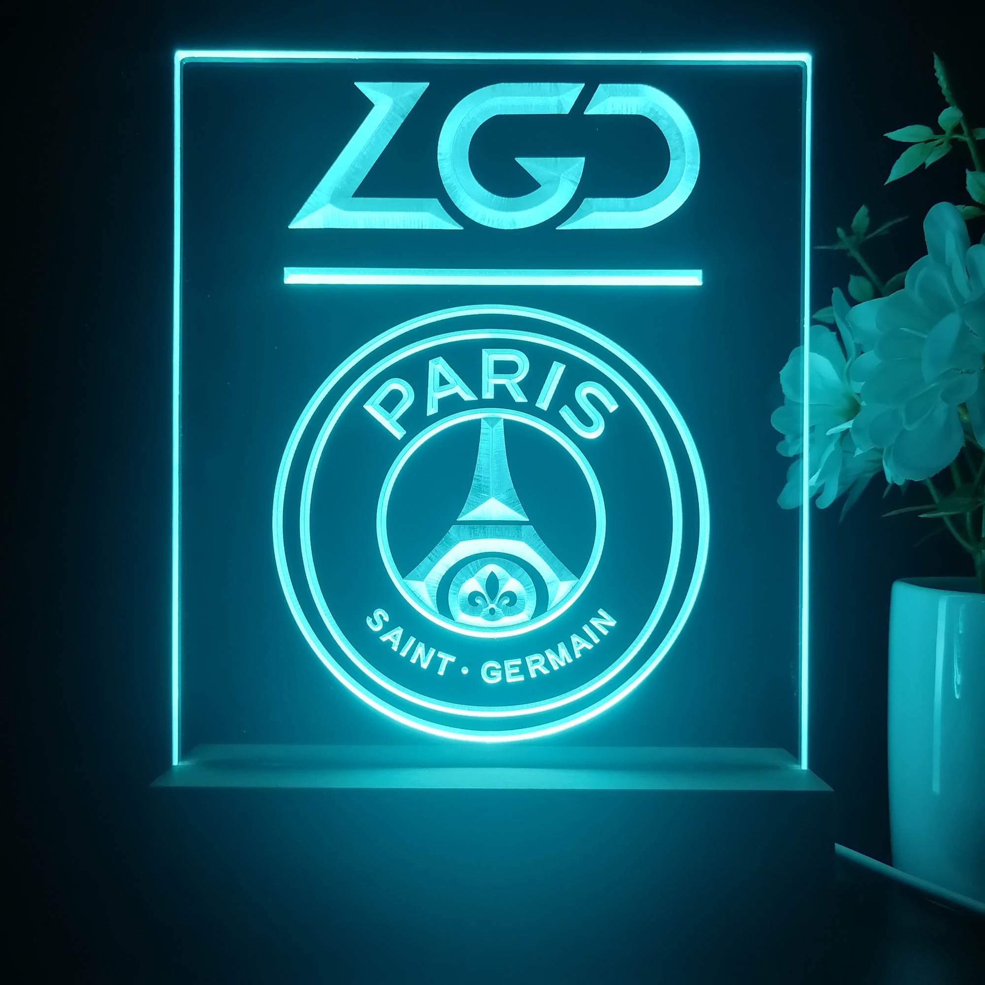 PSG.LGD 3D Illusion Night Light Desk Lamp