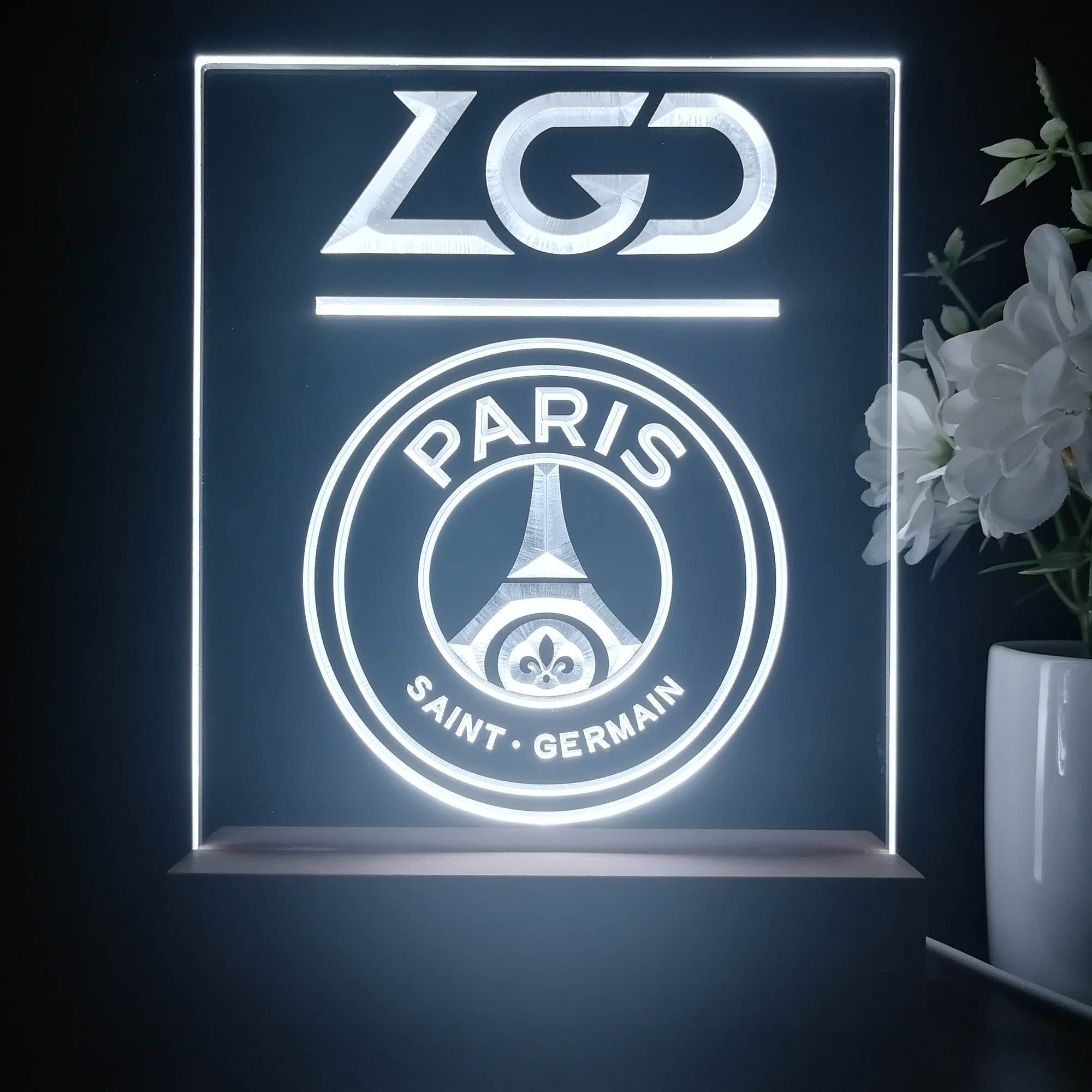 PSG.LGD 3D Illusion Night Light Desk Lamp
