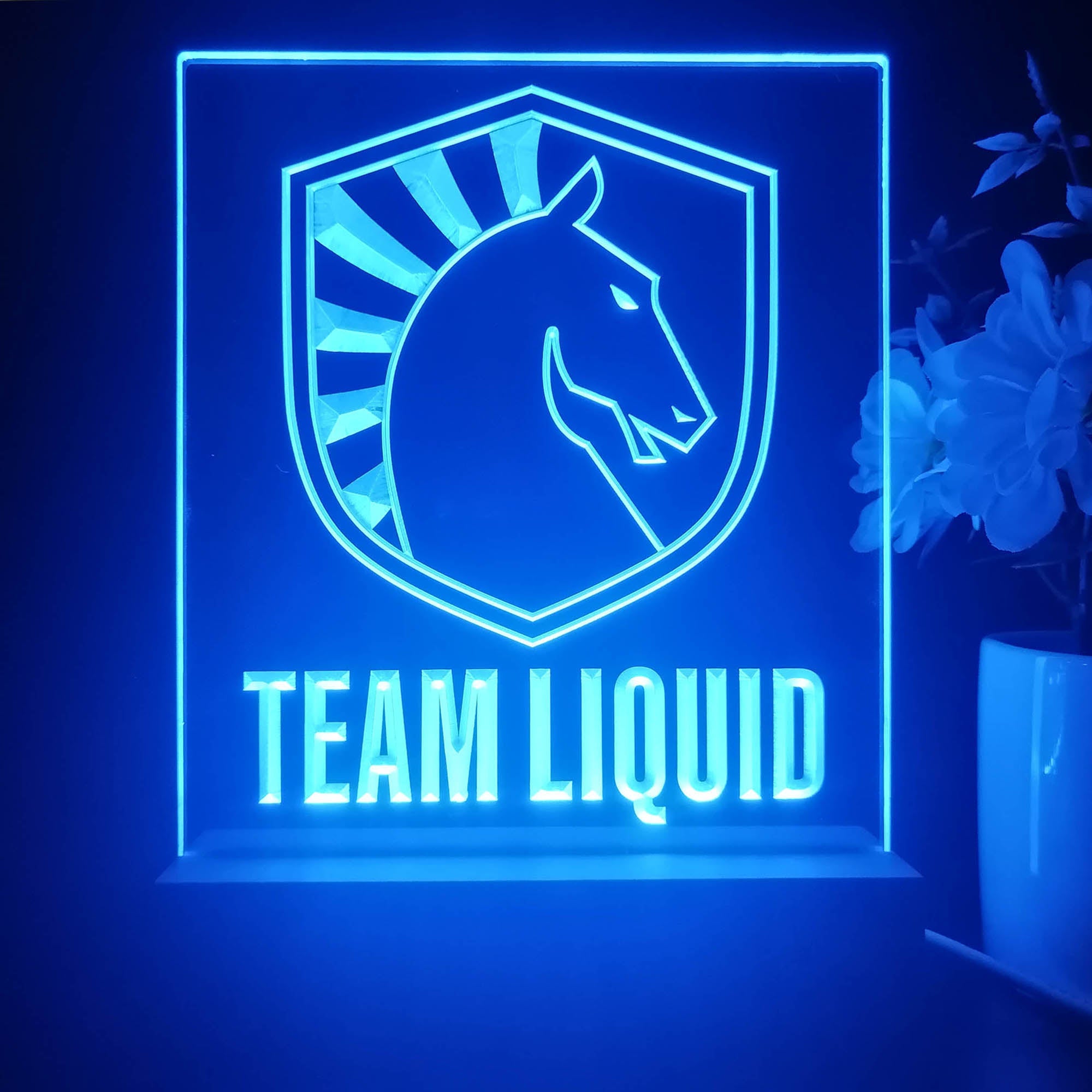 Team Liquid 3D Illusion Night Light Desk Lamp