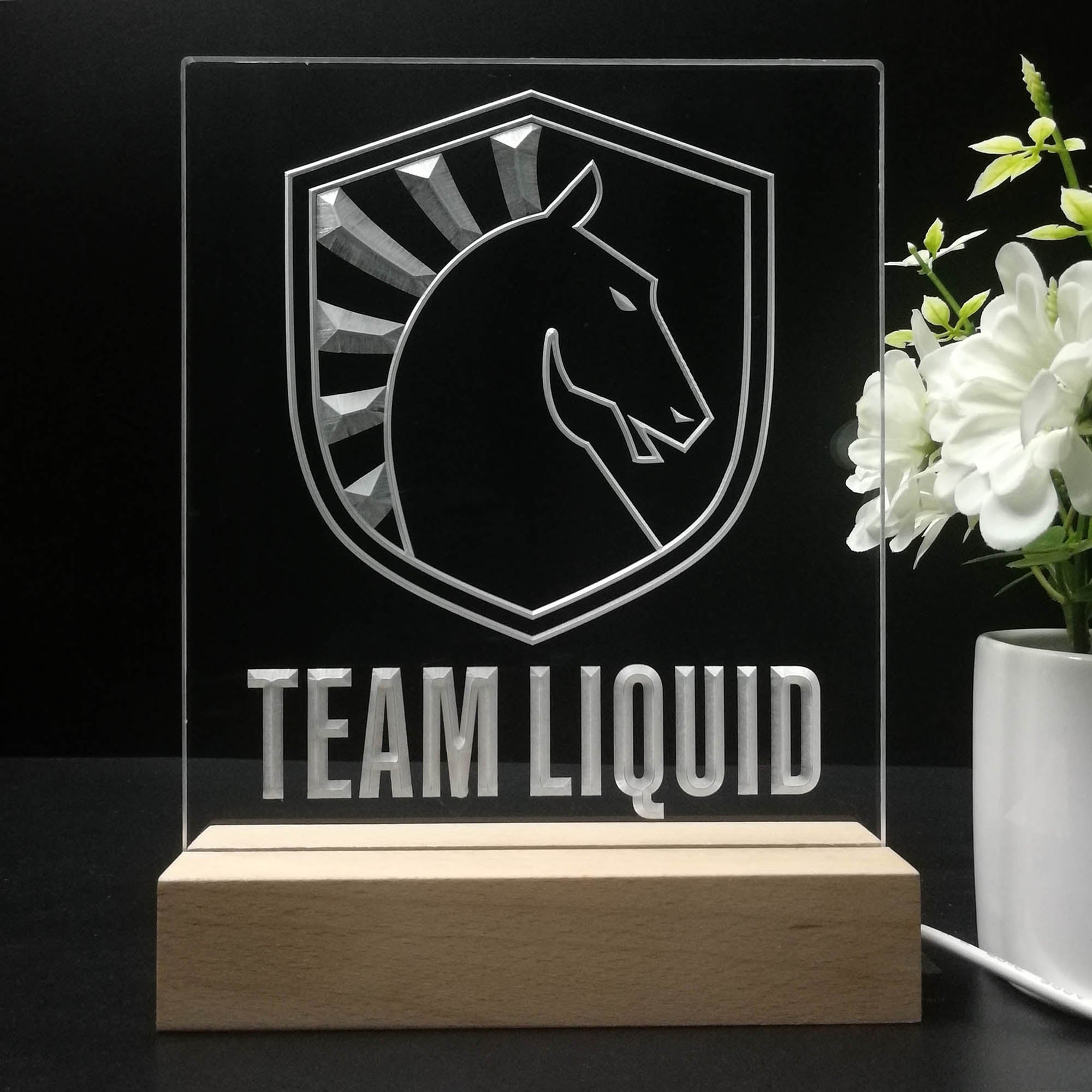 Team Liquid 3D Illusion Night Light Desk Lamp