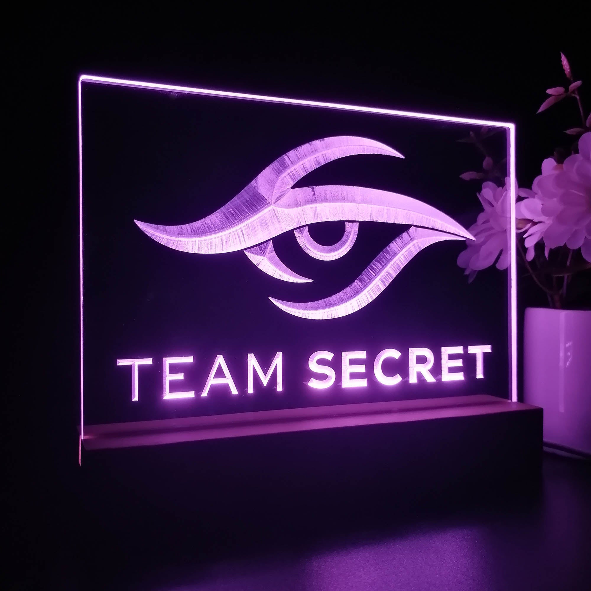 Team Secret 3D Illusion Night Light Desk Lamp