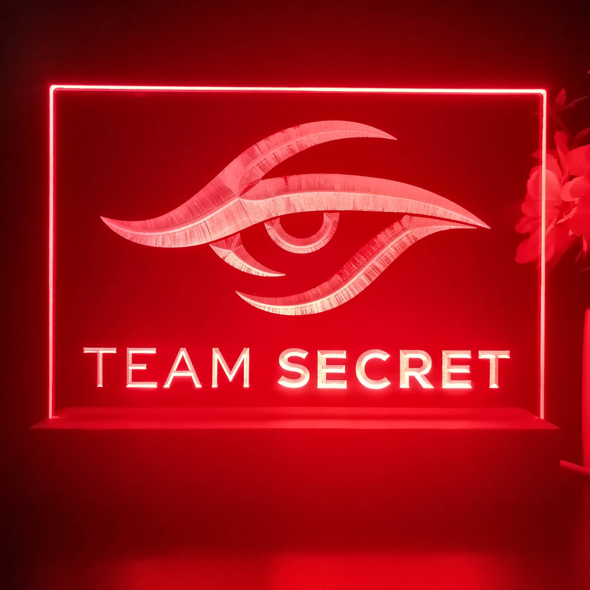 Team Secret 3D Illusion Night Light Desk Lamp