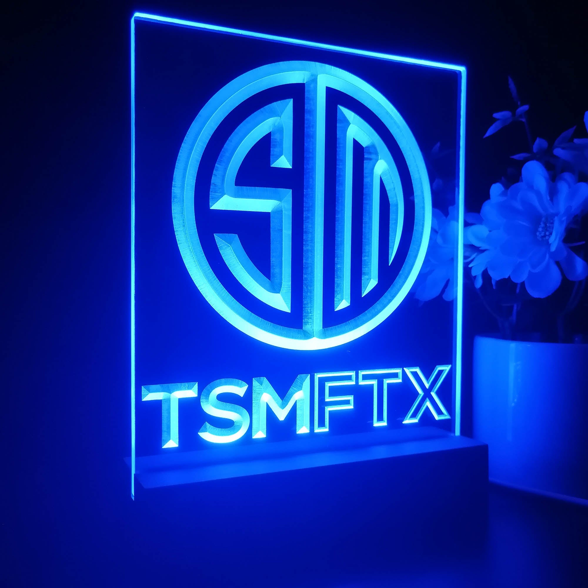 TSM Team 3D Illusion Night Light Desk Lamp