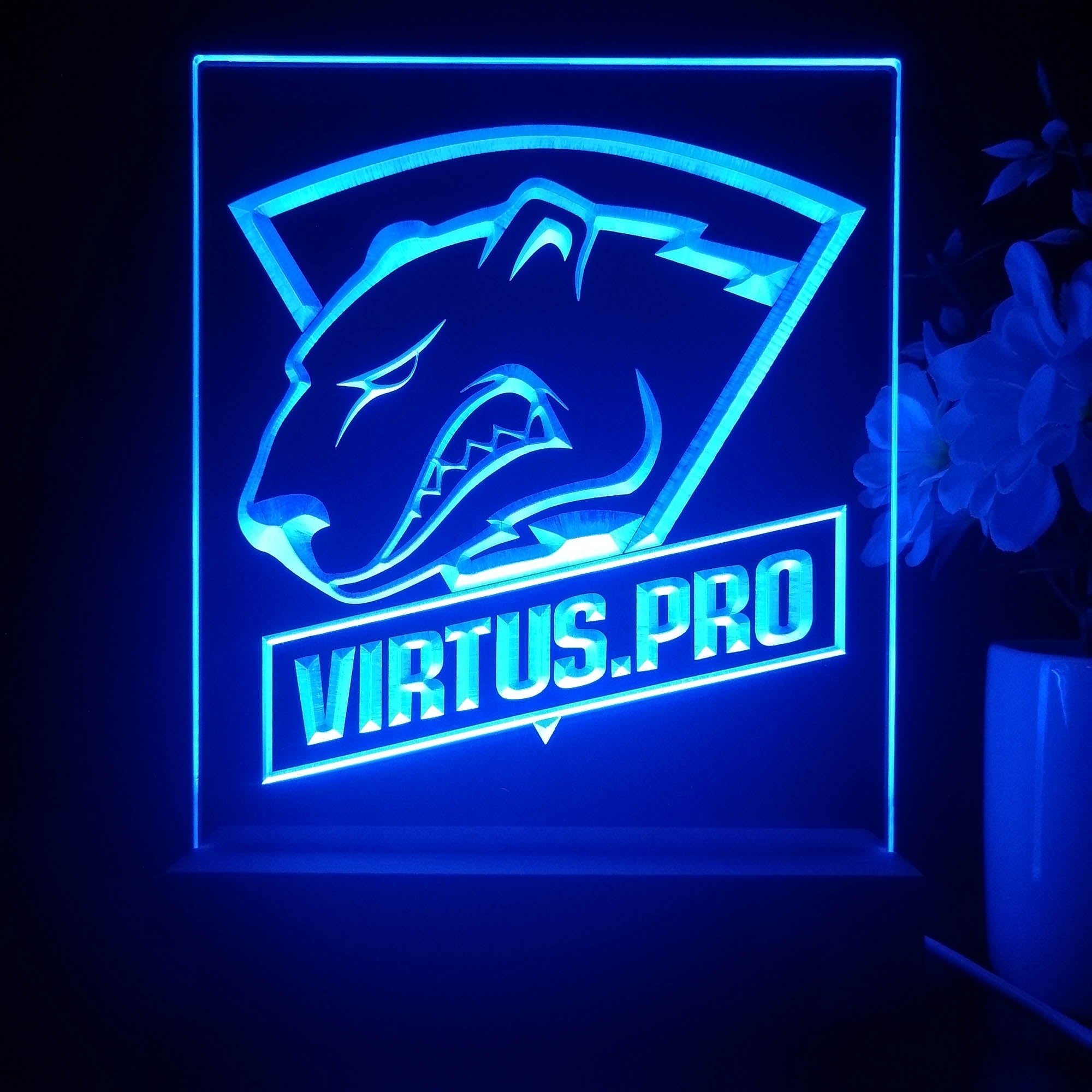 Virtus Pro 3D Illusion Night Light Desk Lamp