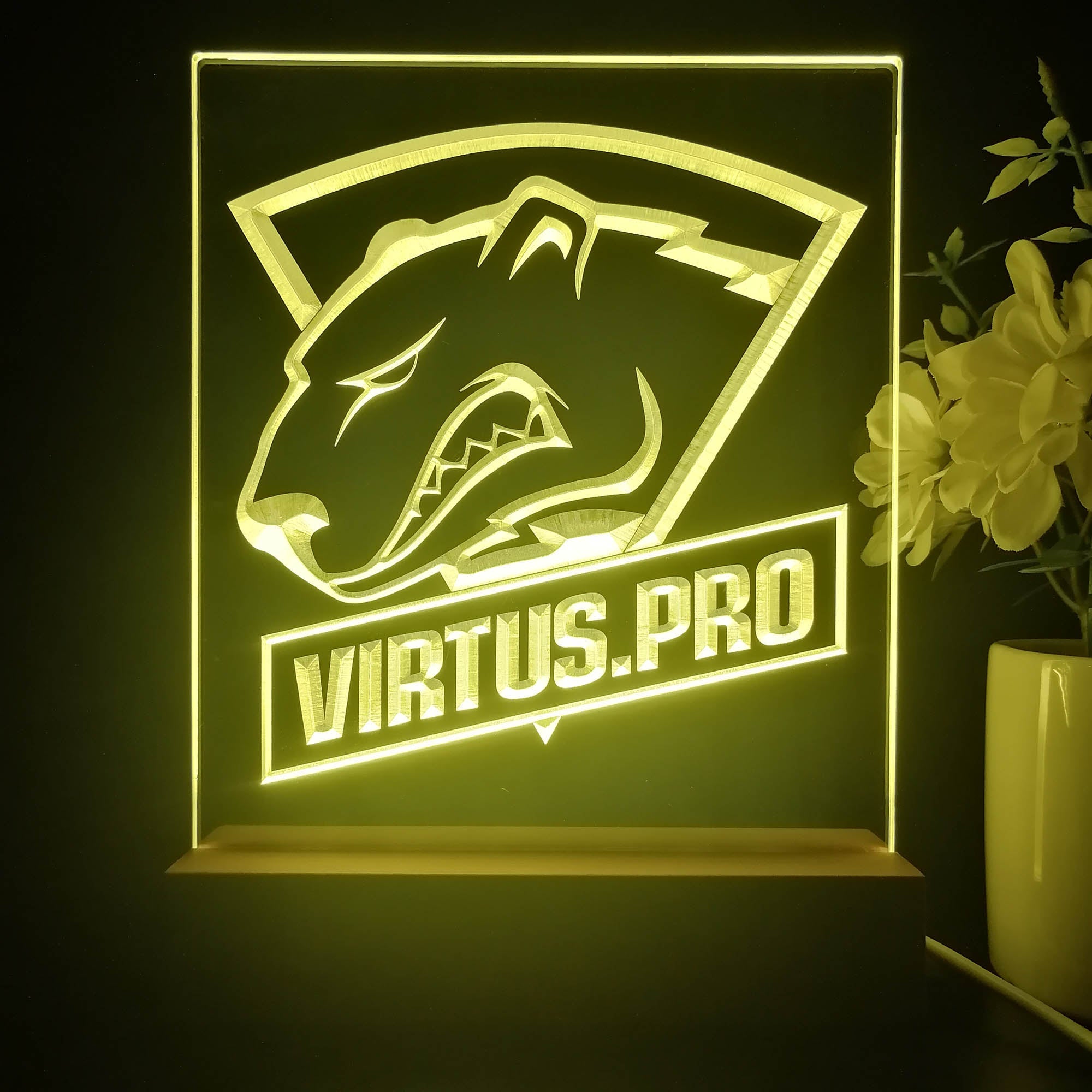 Virtus Pro 3D Illusion Night Light Desk Lamp