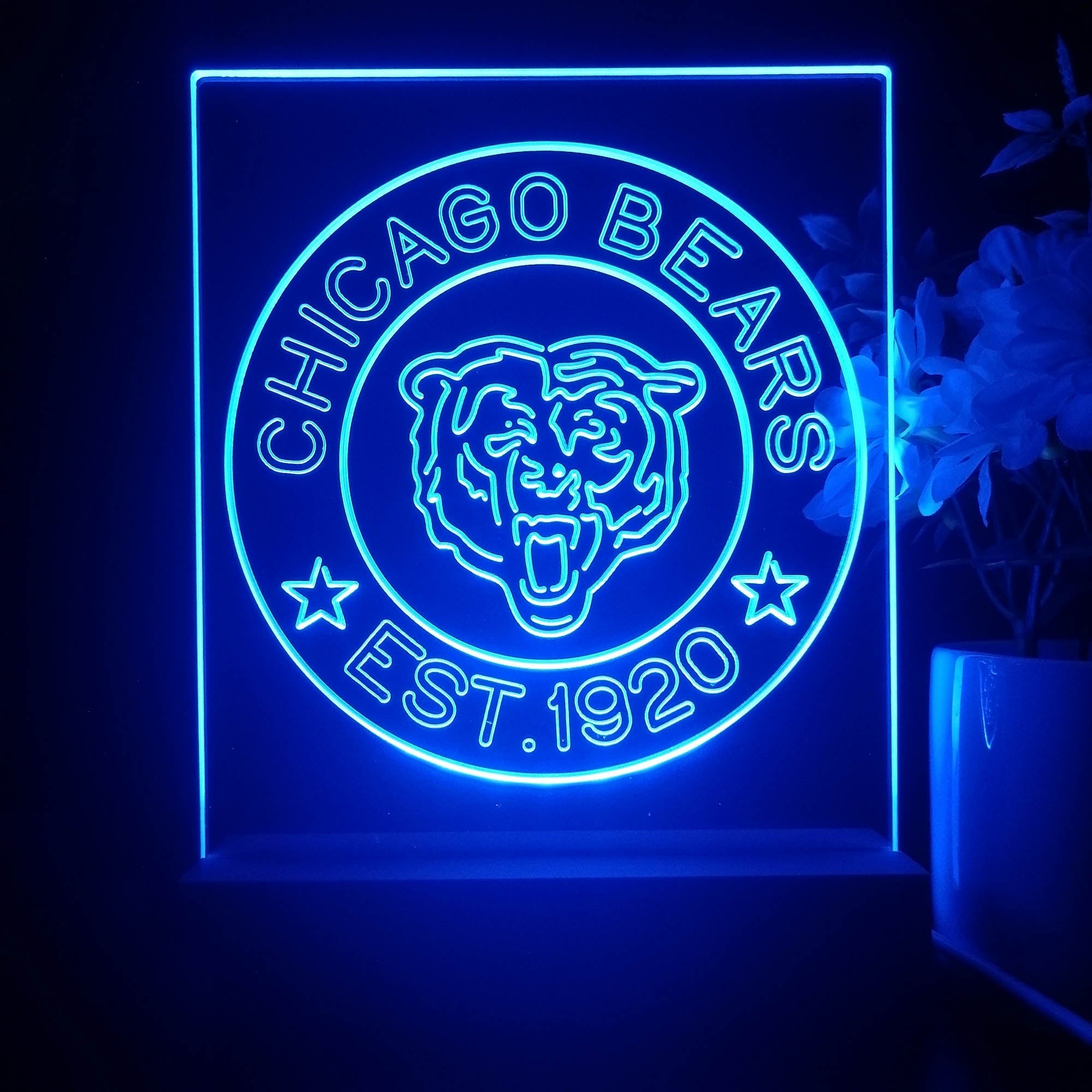 Personalized Chicago Bears Souvenir Neon LED Night Light Sign