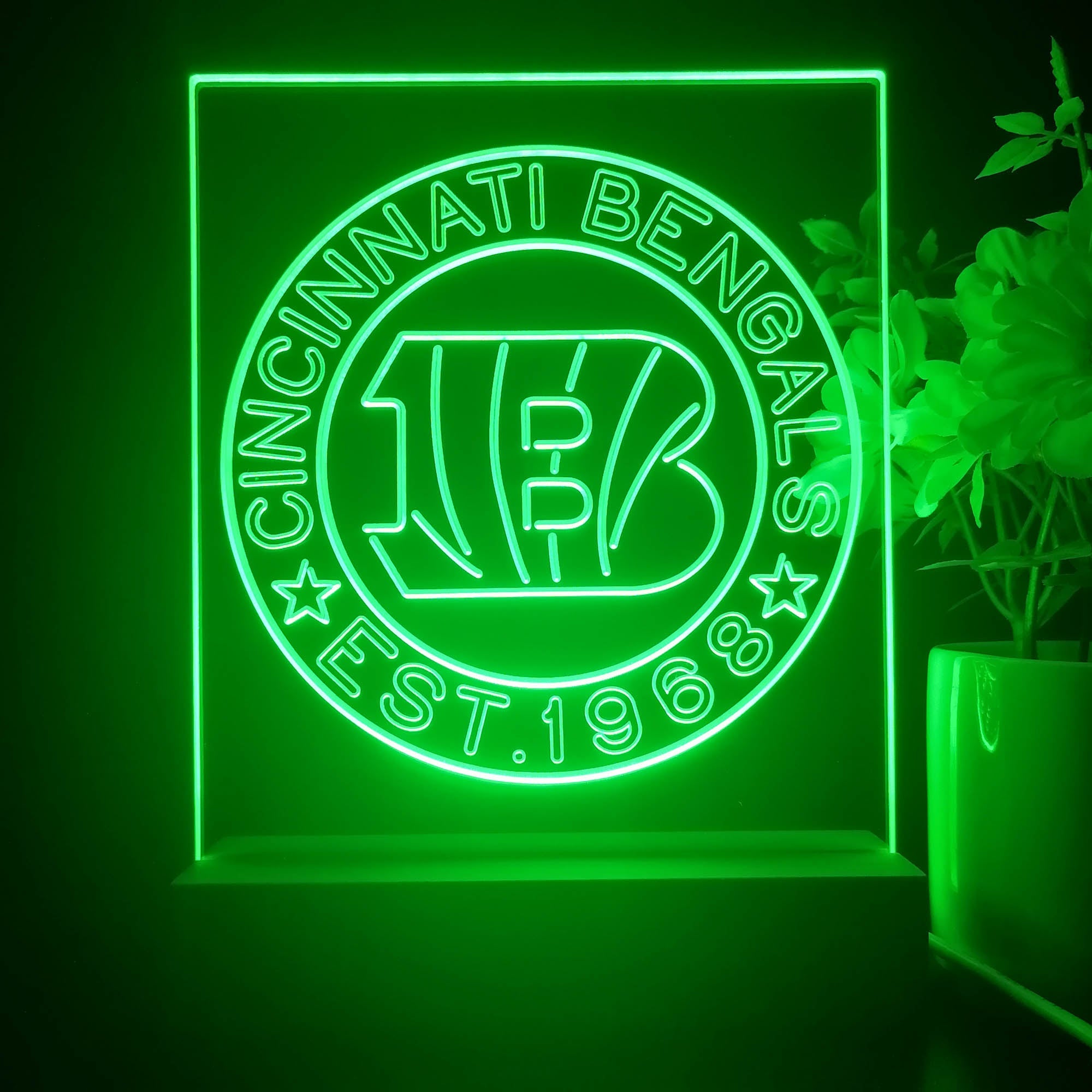 Personalized Cincinnati Bengals Souvenir Neon LED Night Light Sign