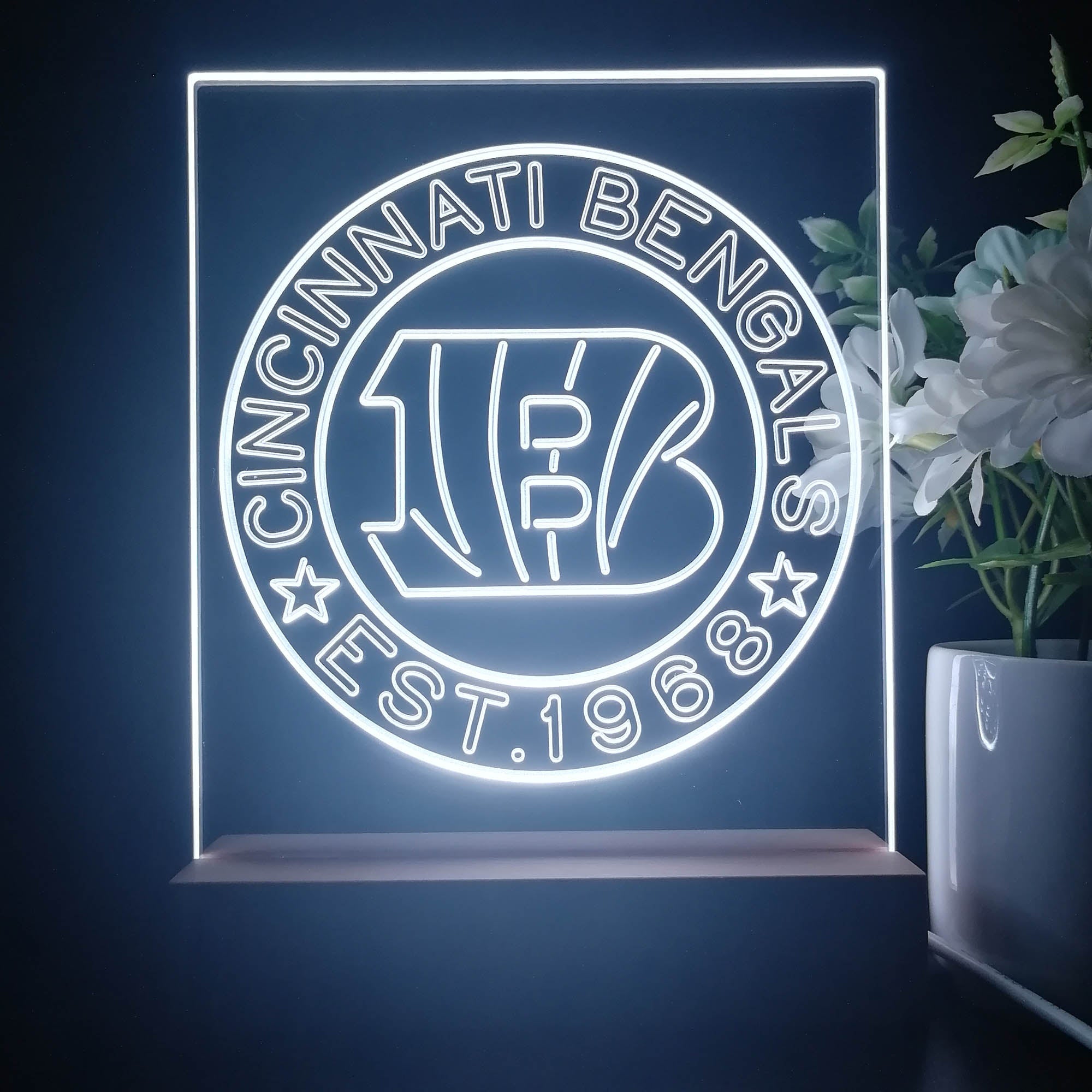 Personalized Cincinnati Bengals Souvenir Neon LED Night Light Sign