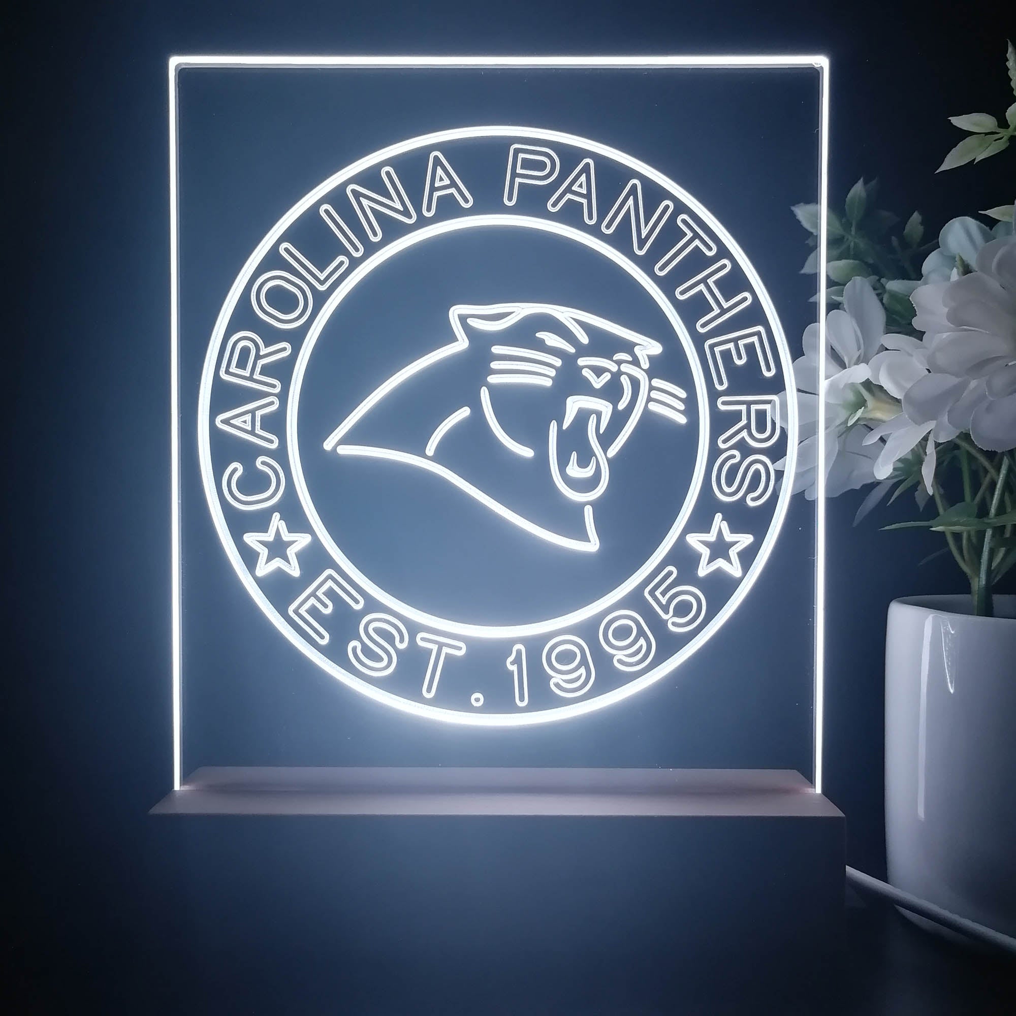 Personalized Carolina Panthers Souvenir Neon LED Night Light Sign