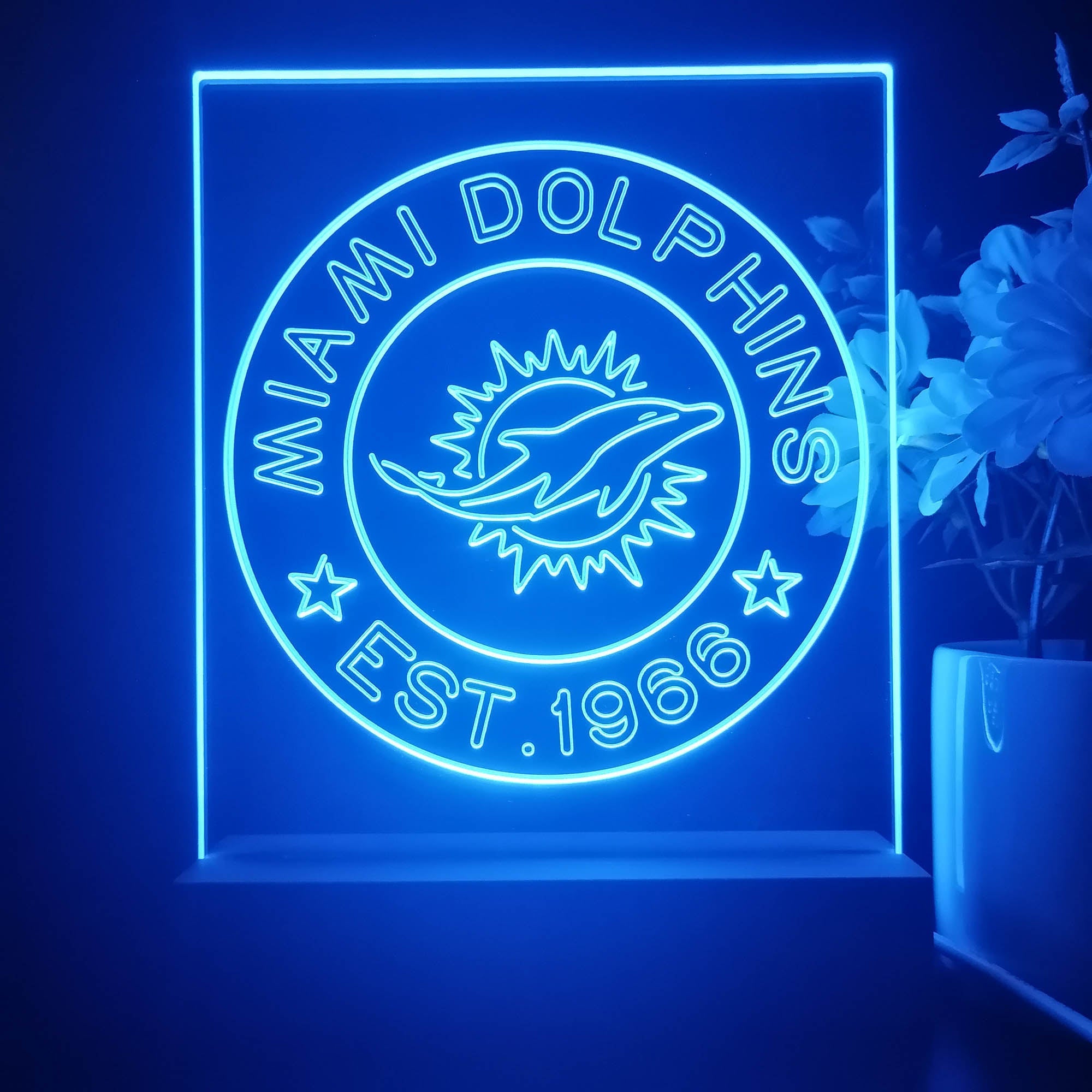 Personalized Miami Dolphins Souvenir Neon LED Night Light Sign