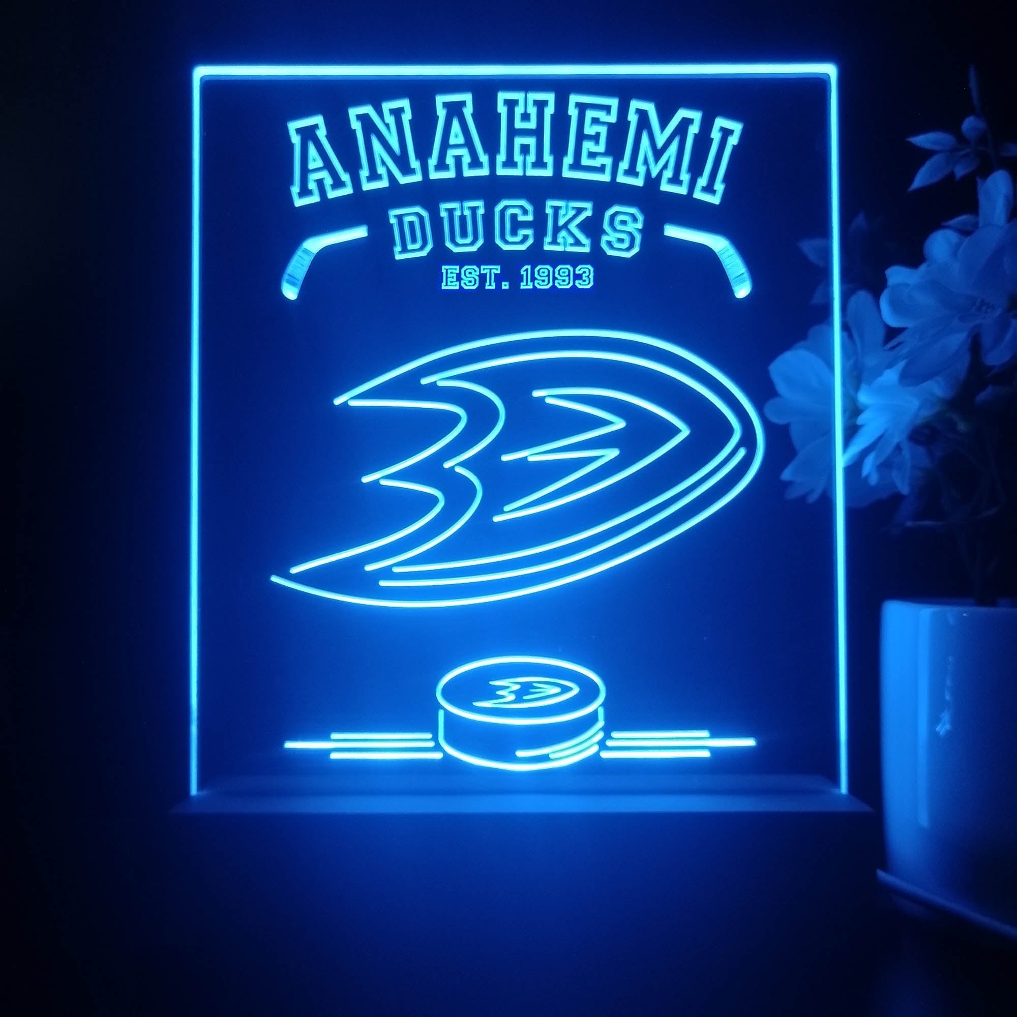 Personalized Anahemi Ducks Souvenir Neon LED Night Light Sign